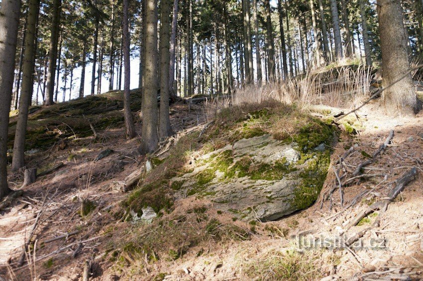 Kolejka leśna w Koutach