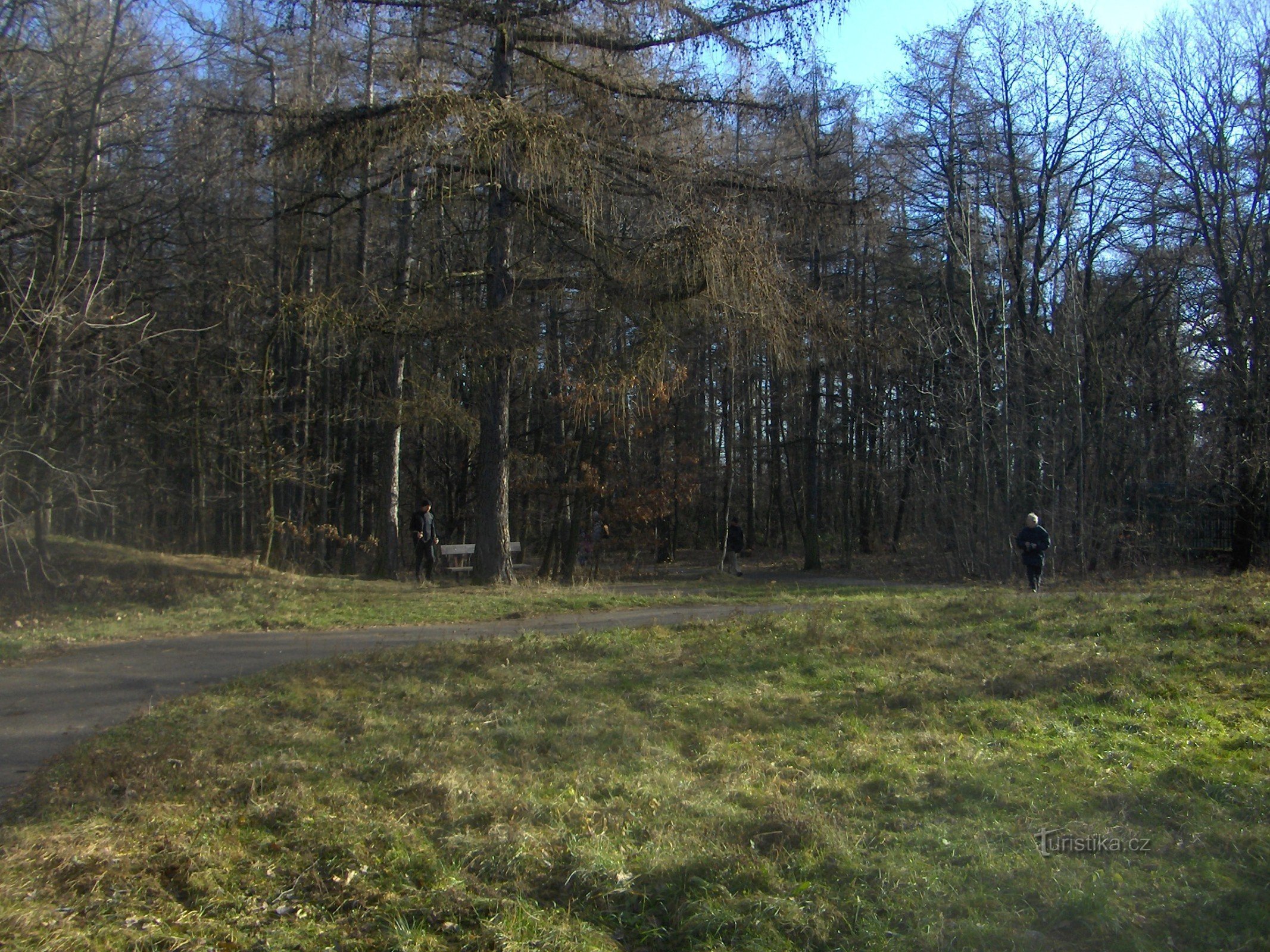 skovpark