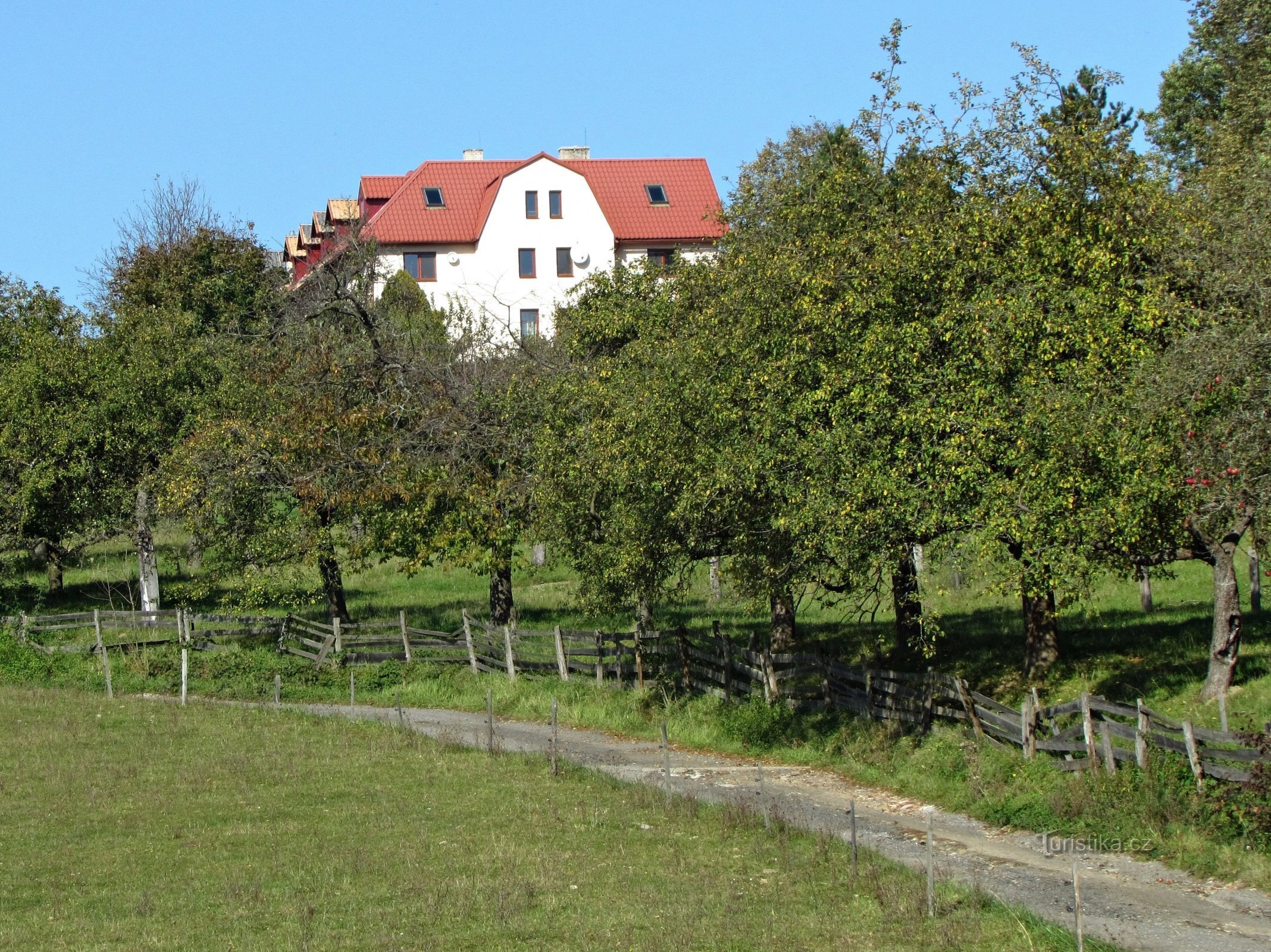 Park šuma na Juréu