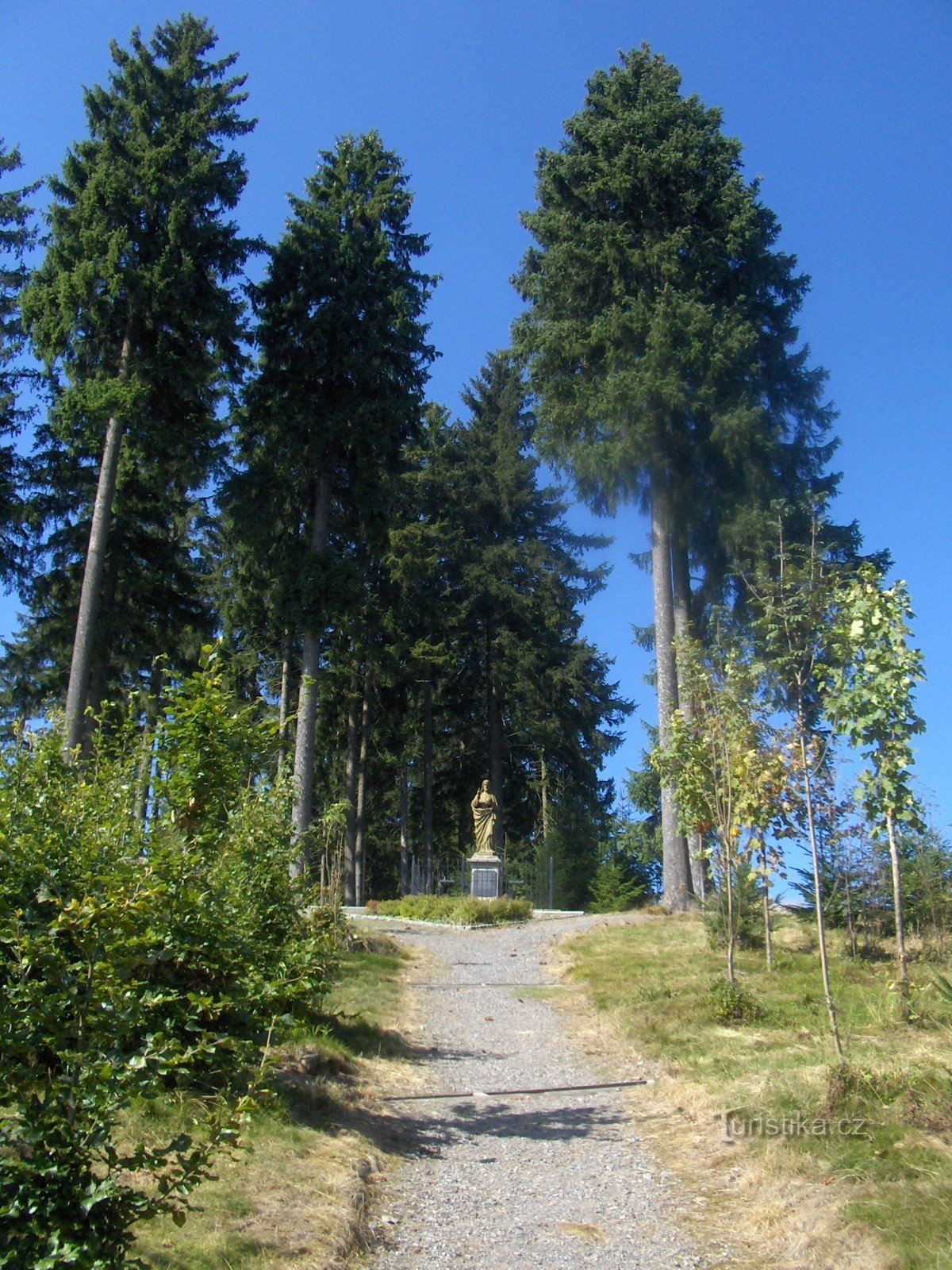 park leśny Pernink