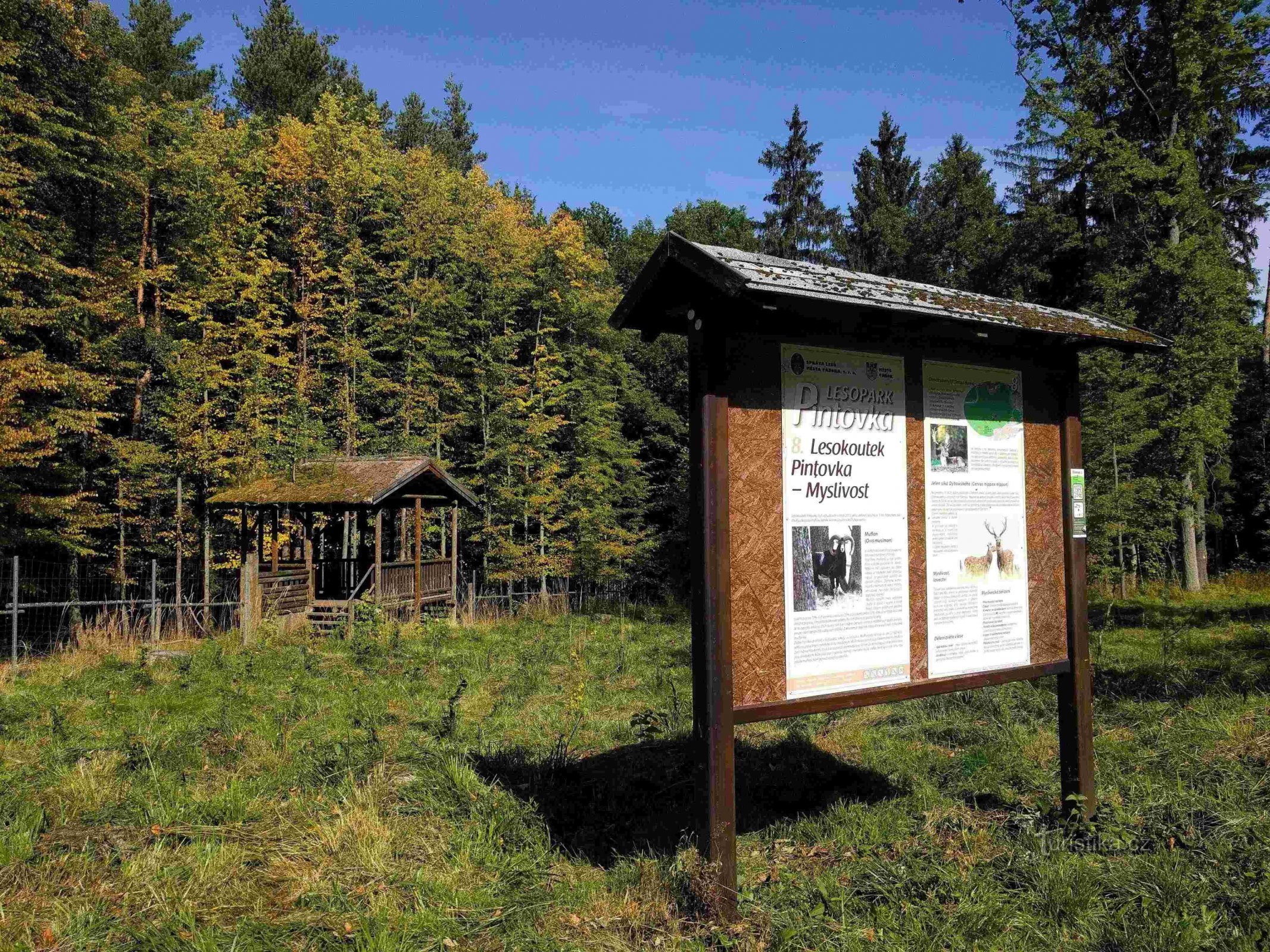 Parco forestale di Pintovka