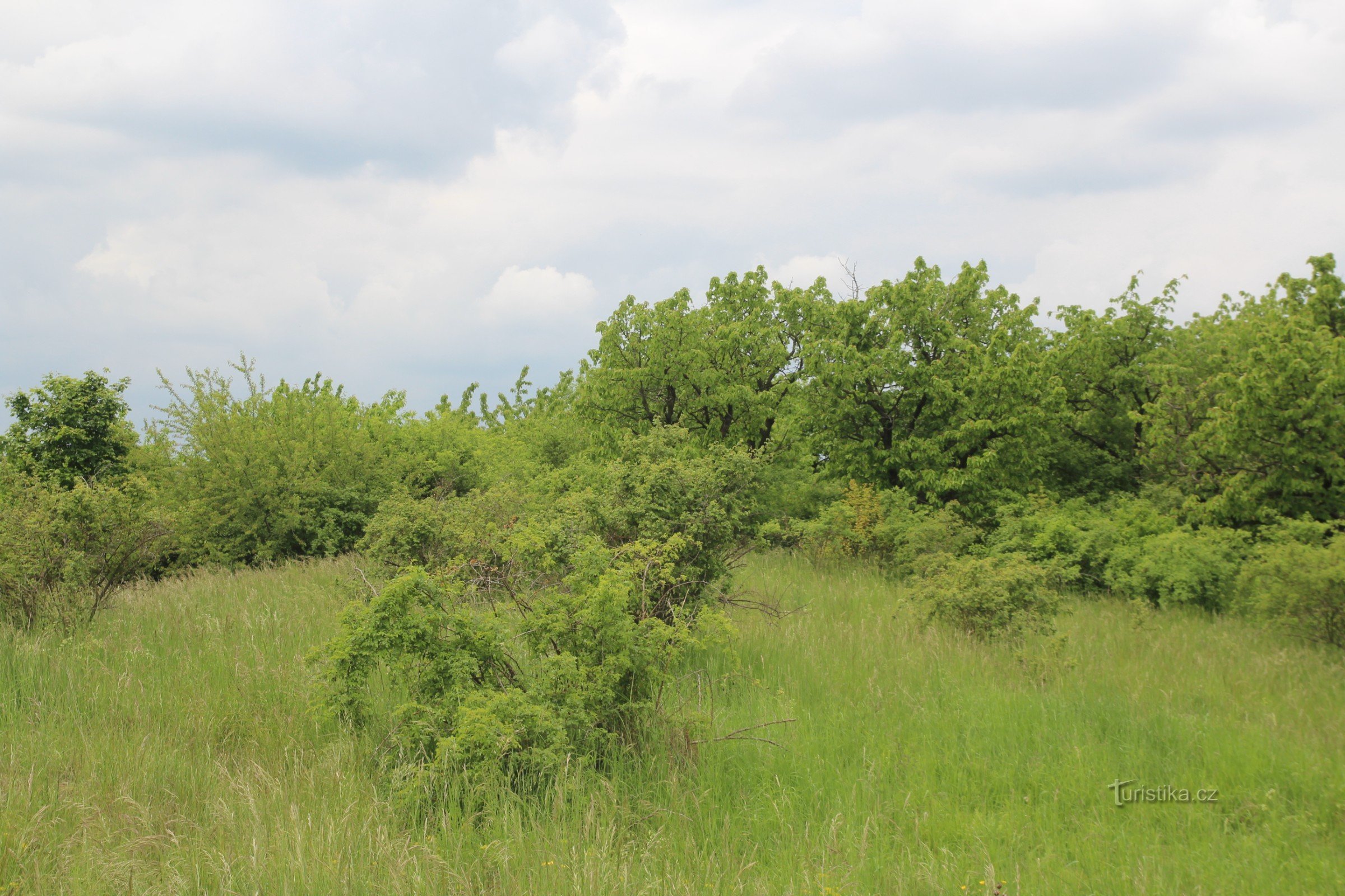 Skov Steppe Stránská skály