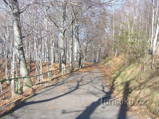 Lesy Slavkov 10: Foresta di Slavkov PLA? foreste termali di Karlovy Vary. Molla.