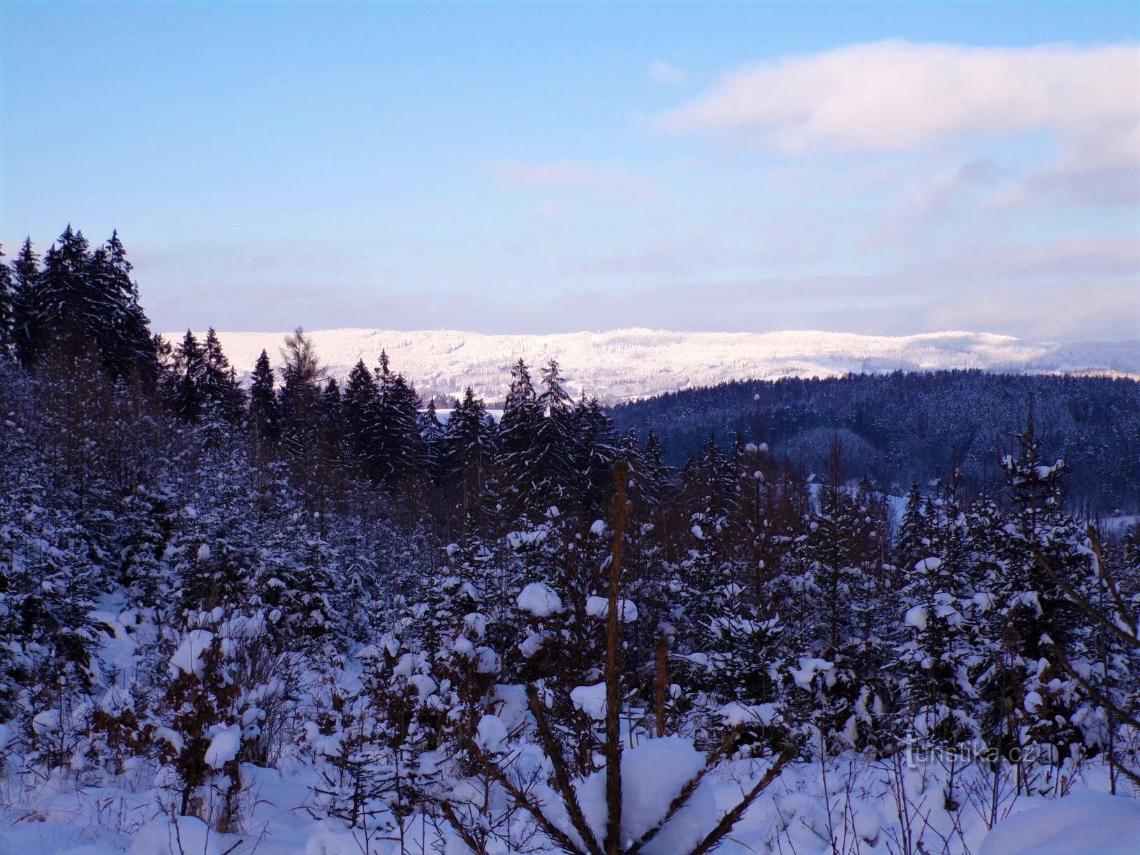 Bossen bij Spáleného kopce (Slatina nad Úpou, 17.1.2021/XNUMX/XNUMX)