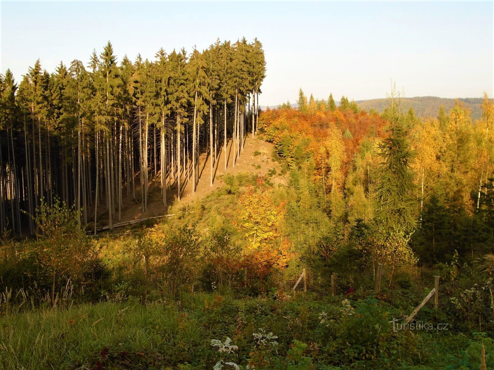 Lasy w pobliżu Spáleného kopce (Slatina nad Úpou, 17.10.2017)