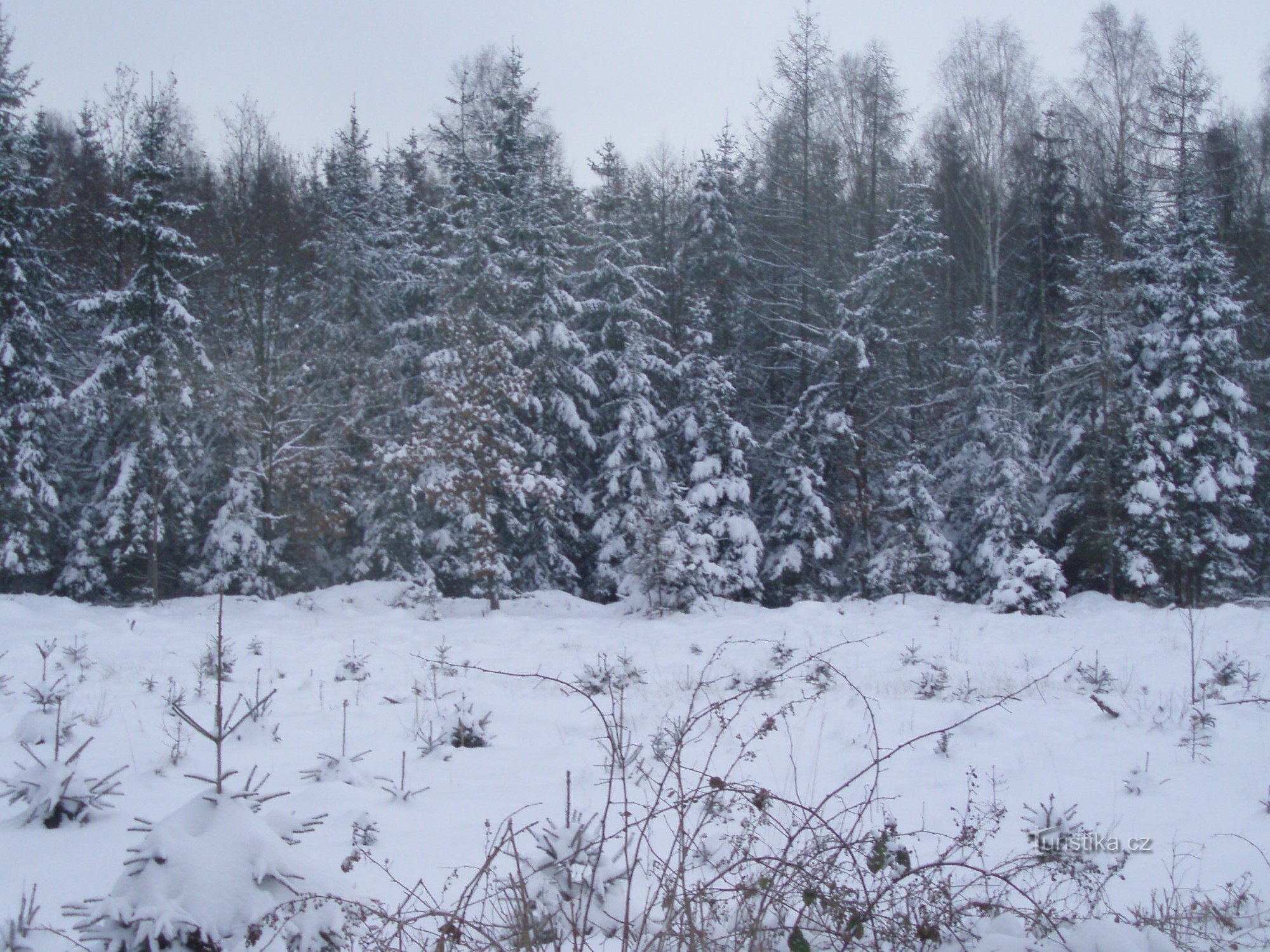 Foreste dietro Rozdělov