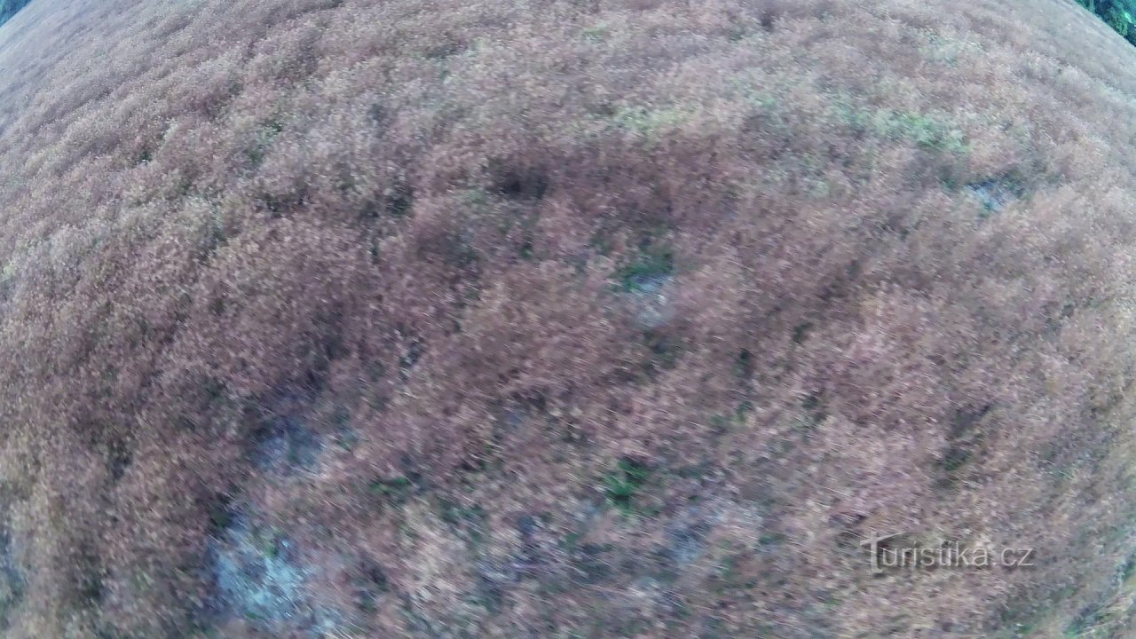 Vol en montgolfière - Monts Orlické, de Rychnov à Letohrad