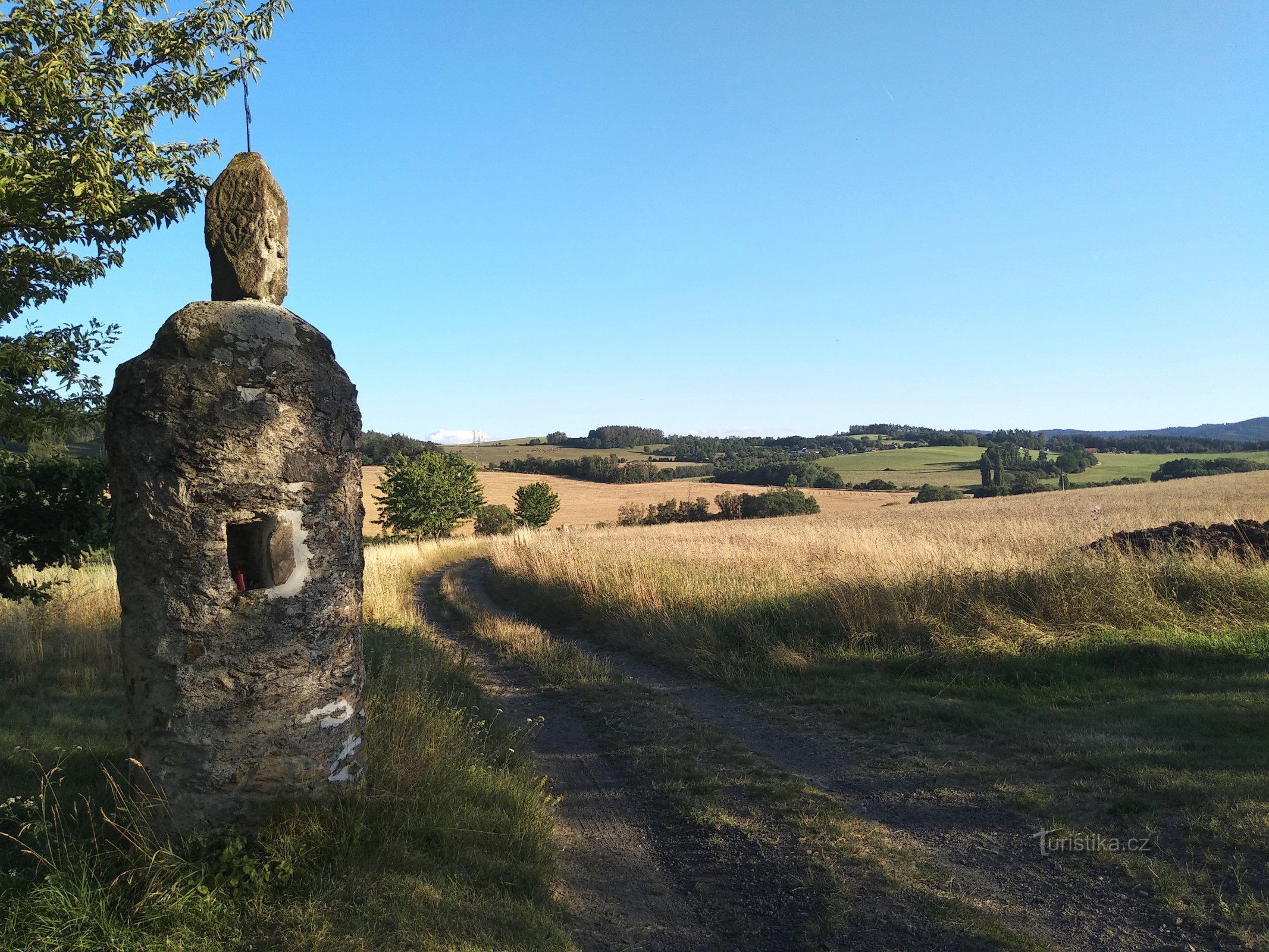 summer landscape