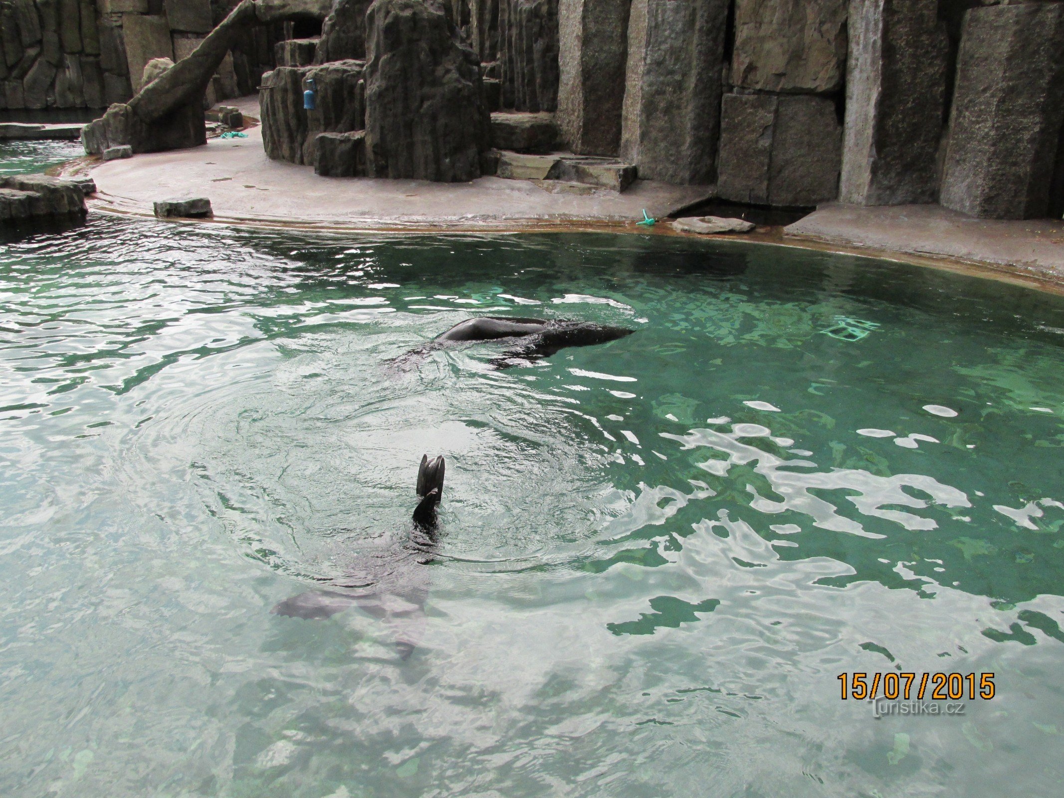 O plimbare de vară în Grădina Zoologică din Praga