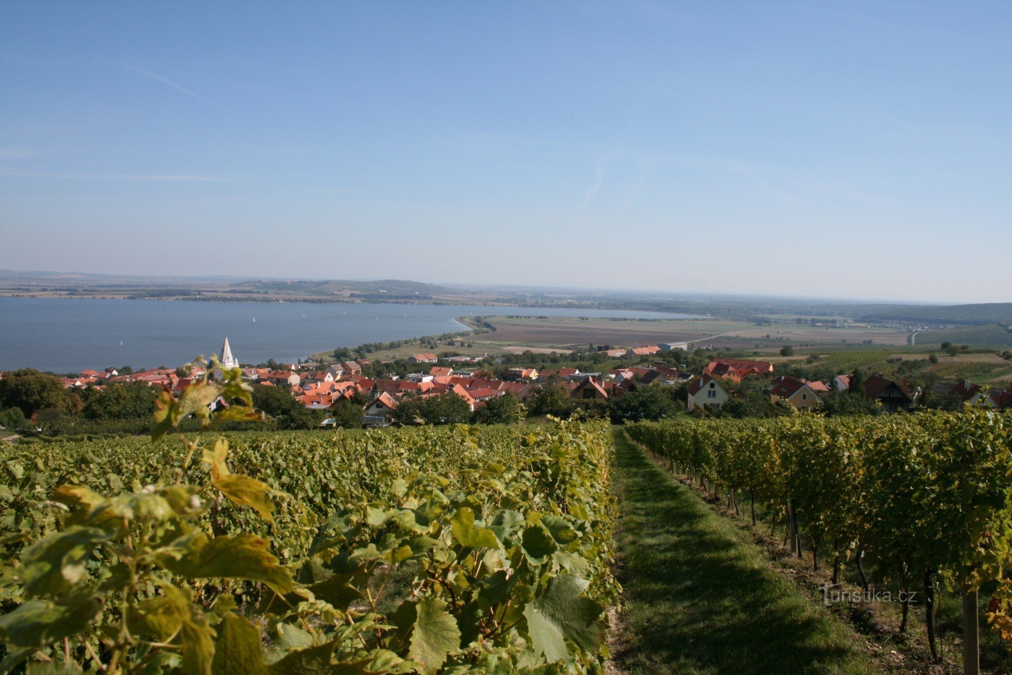 L'estate delle cantine aperte_Pavlov - autore Pavel Krška