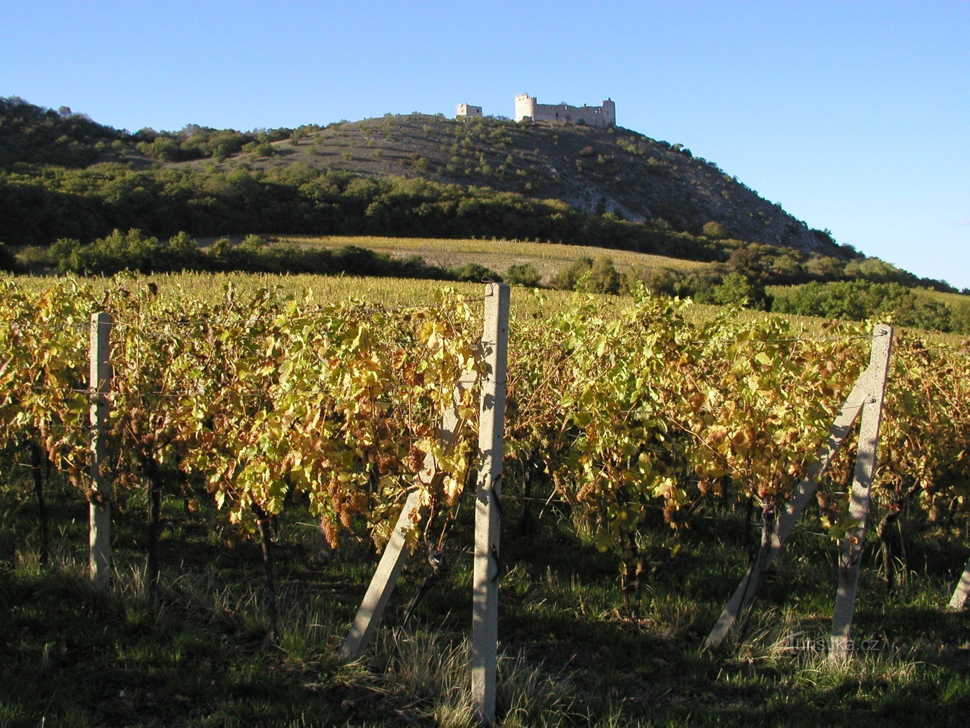 L'estate delle cantine aperte_Pavlov - autore Pavel Krška