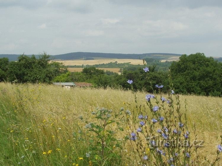 summer in Rostín