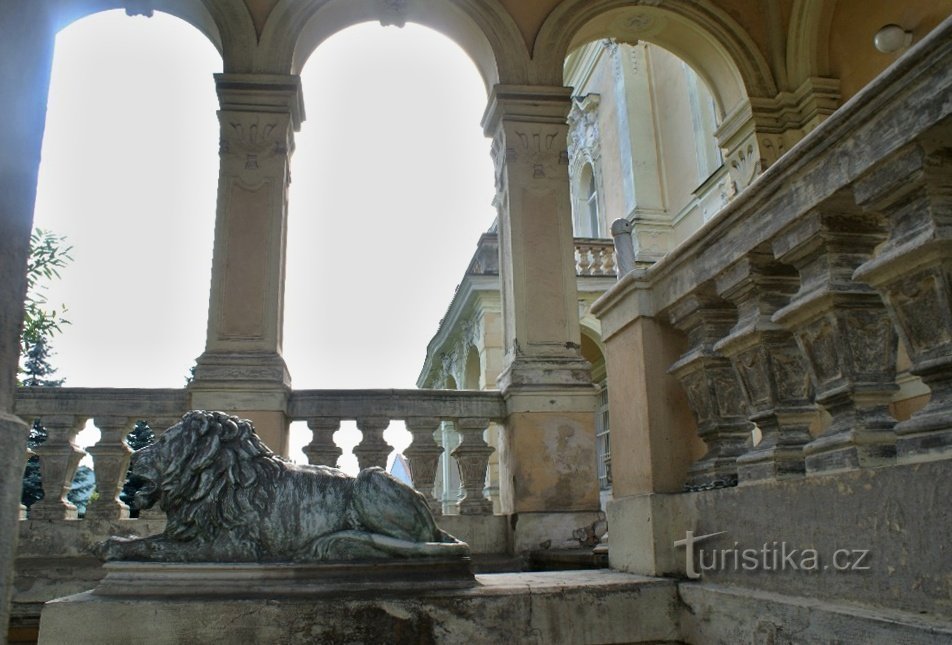 un leone a guardia della sala terrena