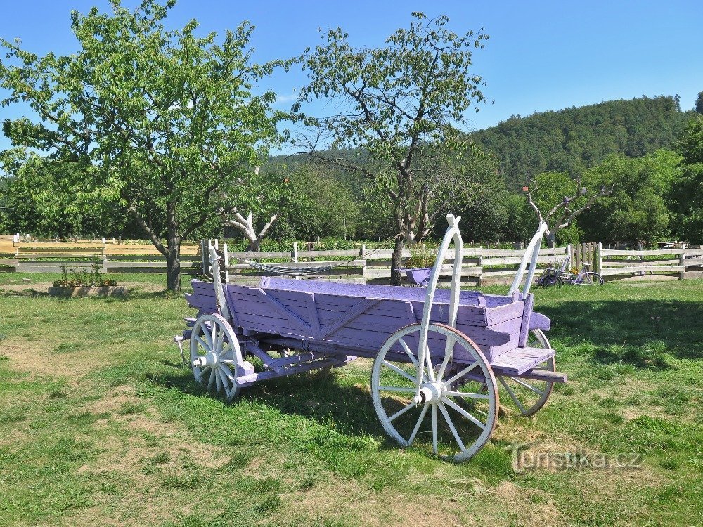 Lavender farm Bezděkov near Úsov