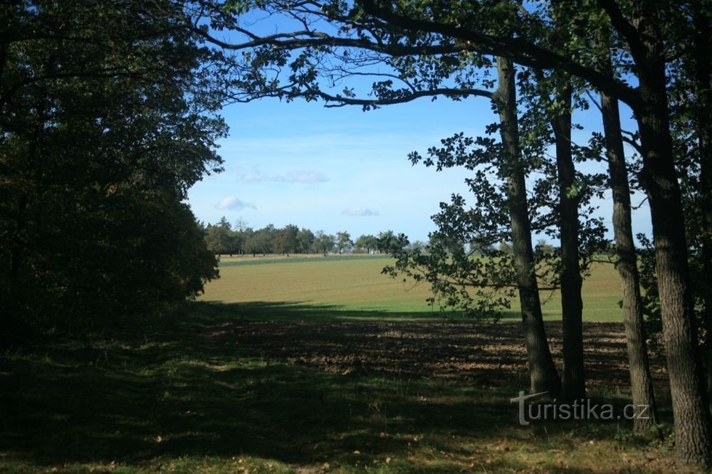 Lhanice-Velka-Skala