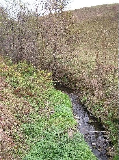 Ruisseau Lhotecký: Ruisseau Lhotecký à Kozlovice