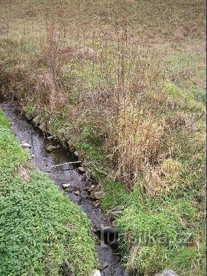 Lhotecký ström: Lhotecký ström i Kozlovice