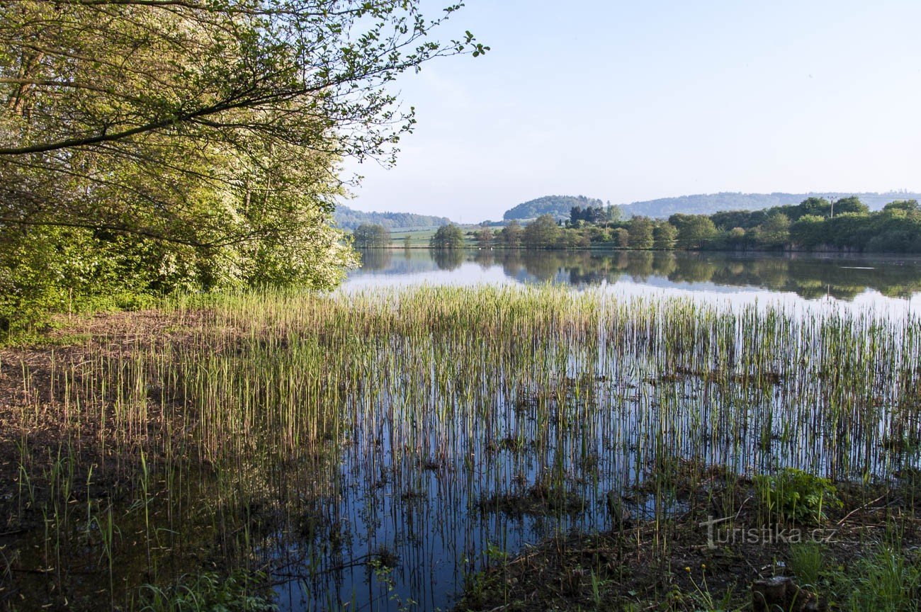 Lhotský rybník