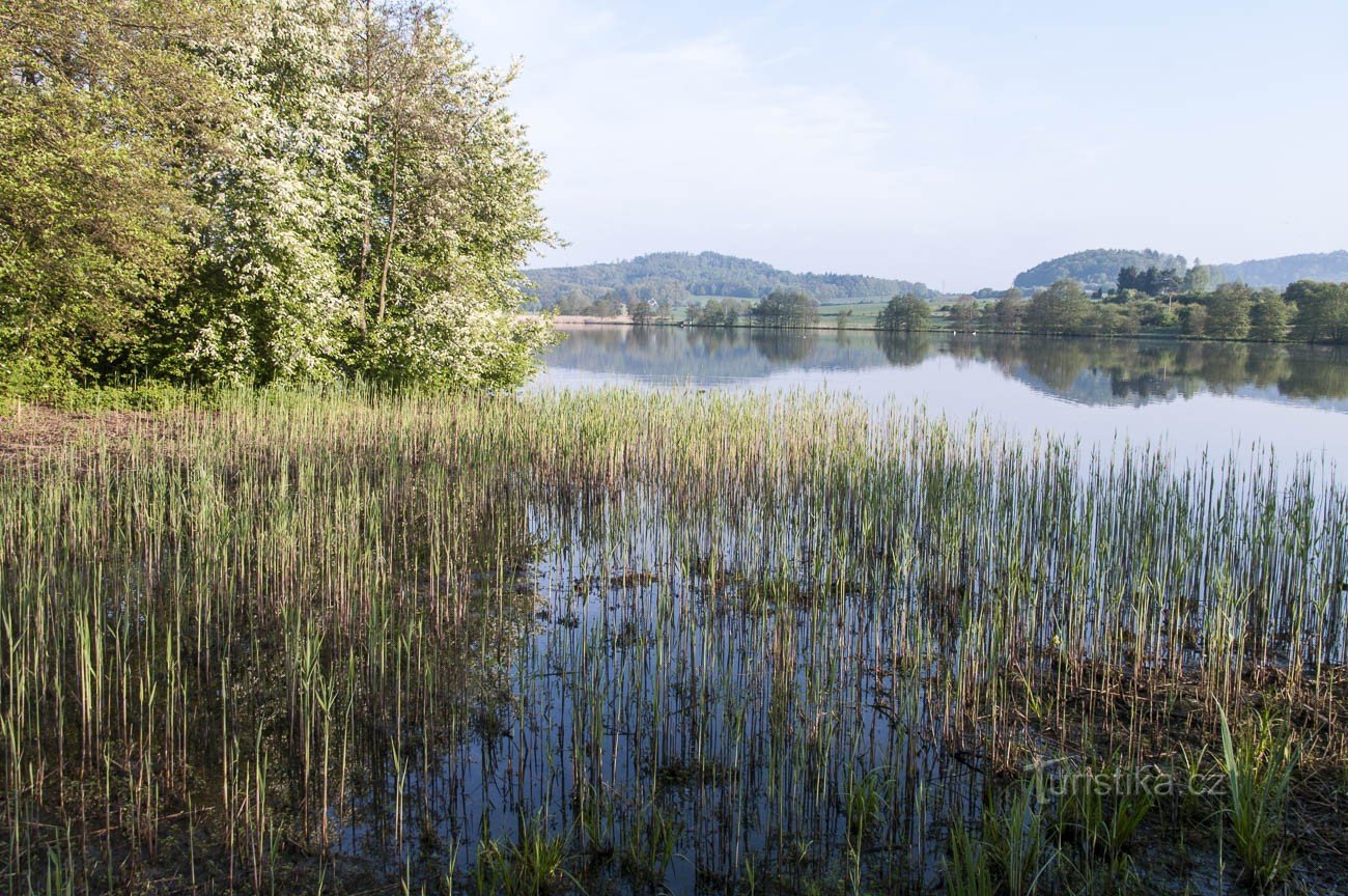 Stagno di Lhotsky