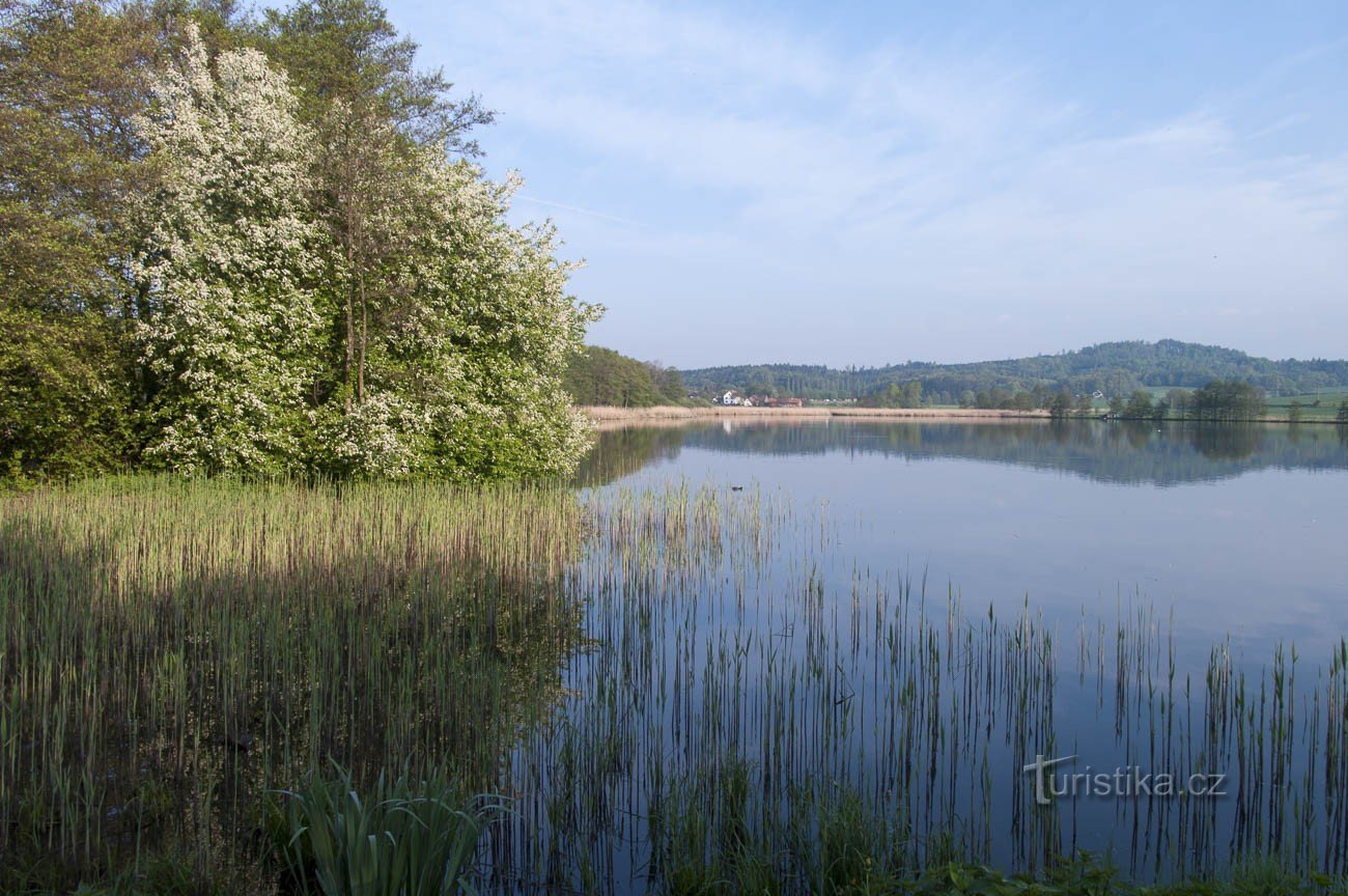 Lhotsky Pond