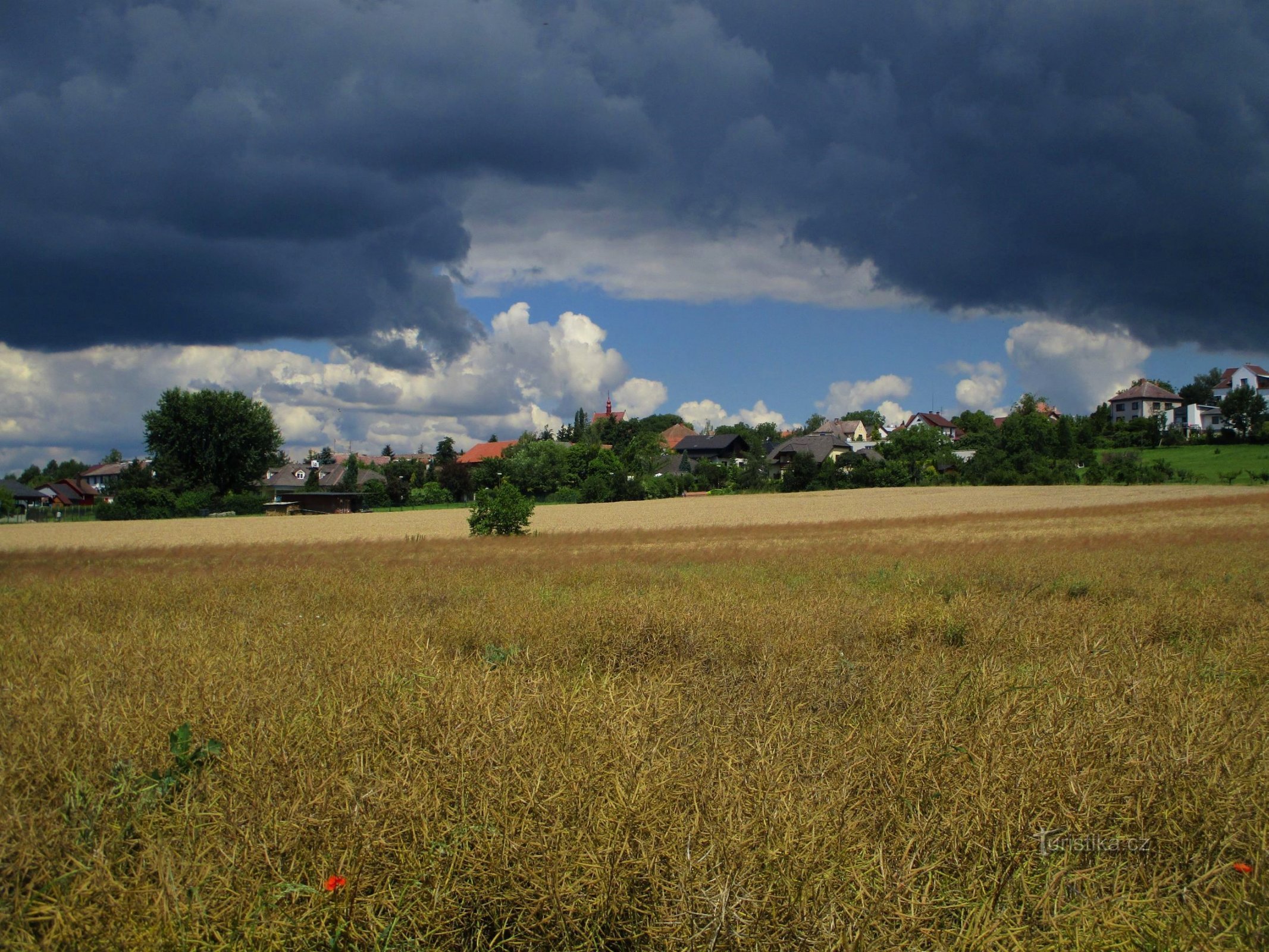 Libčany (12.7.2020)