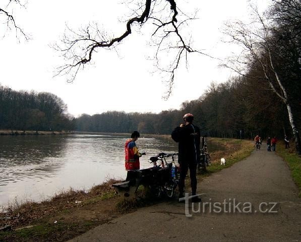 Libice nad Cidliną 1