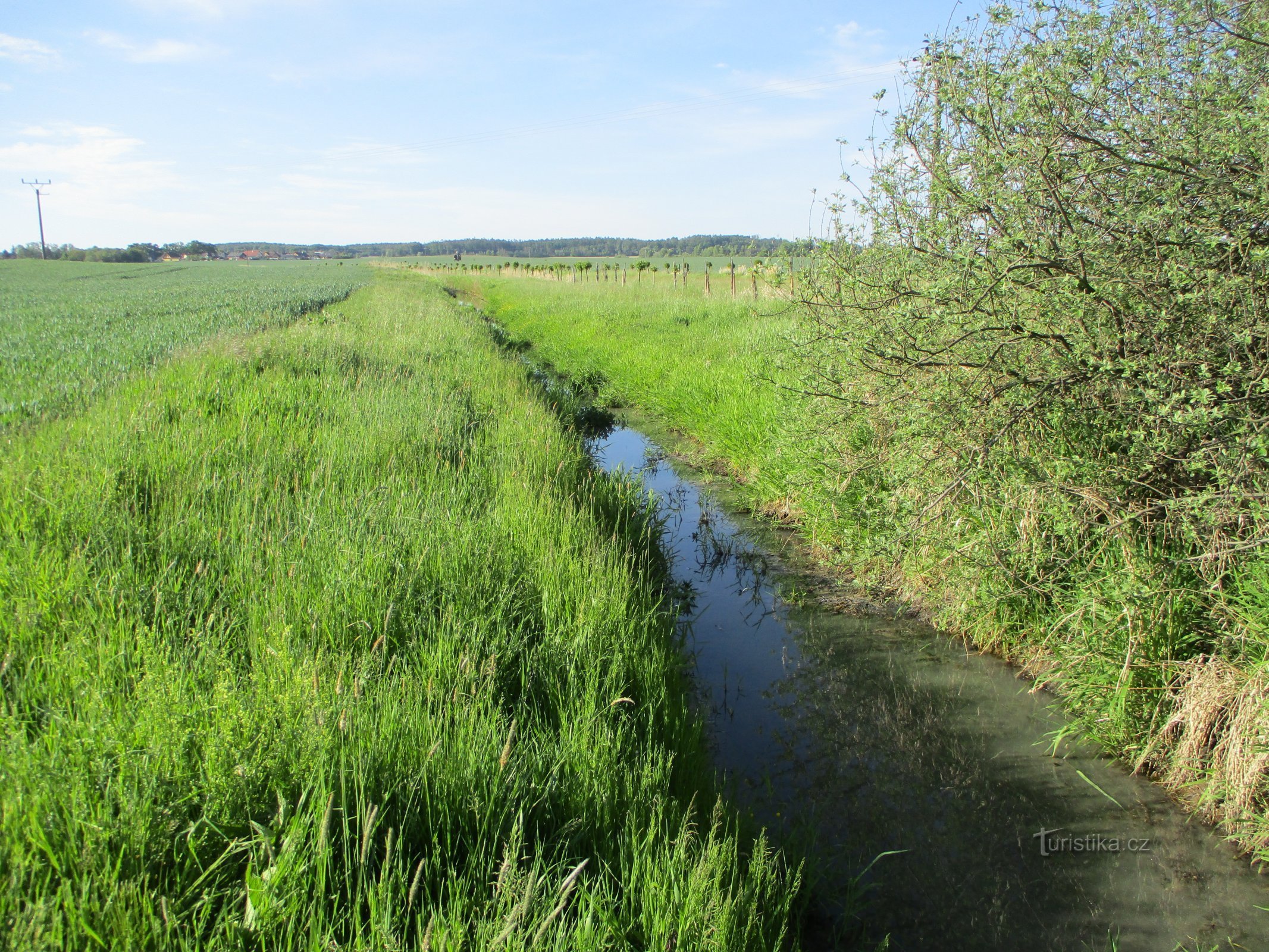 Vändig bäck vid cykelvägen (Černilov, 22.5.2020/XNUMX/XNUMX)