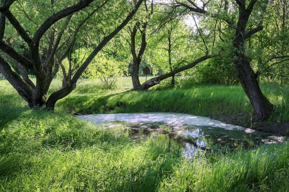 Il lago di Libuša