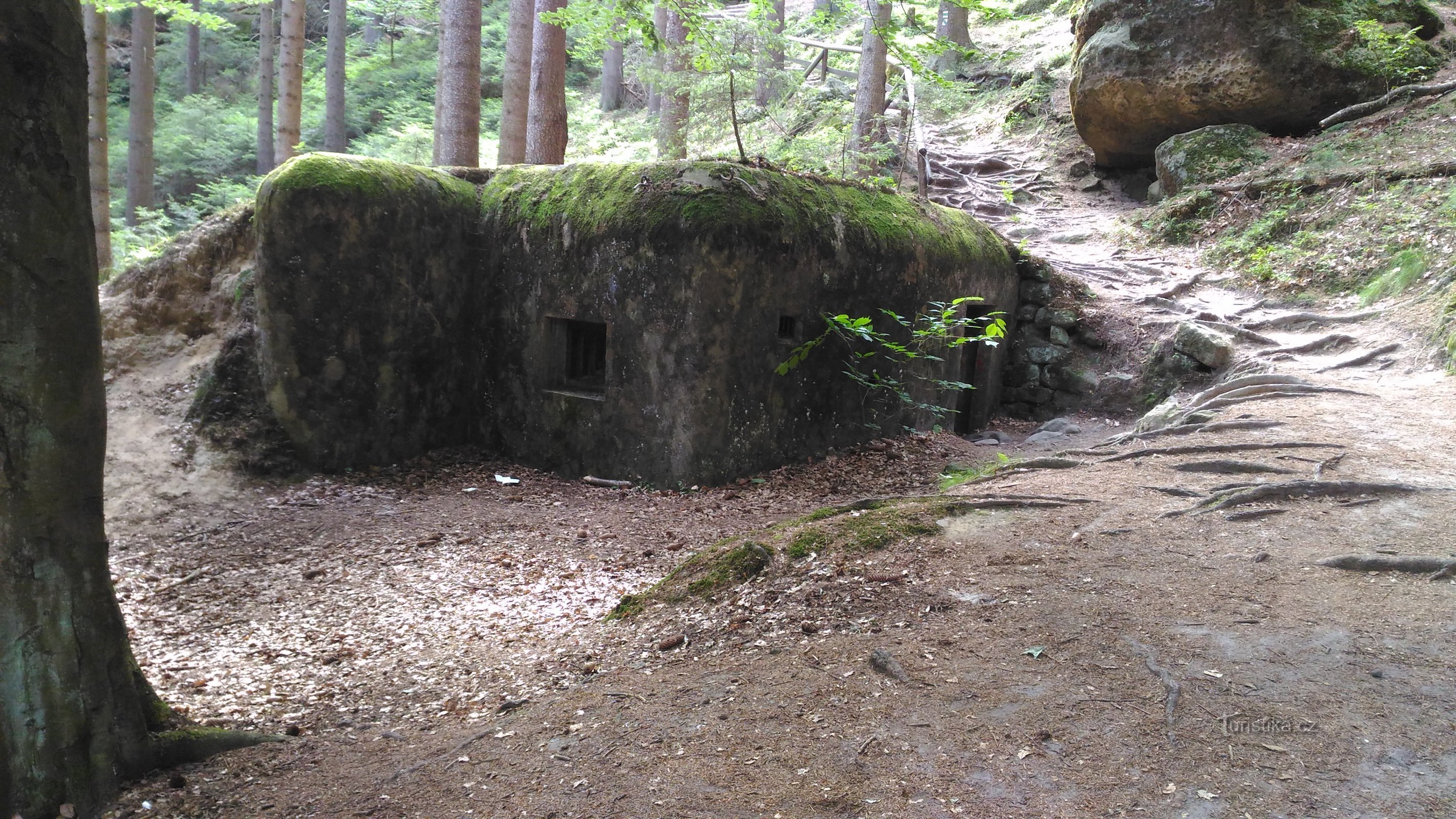 Line of fortifications near Srbská Kamenice.