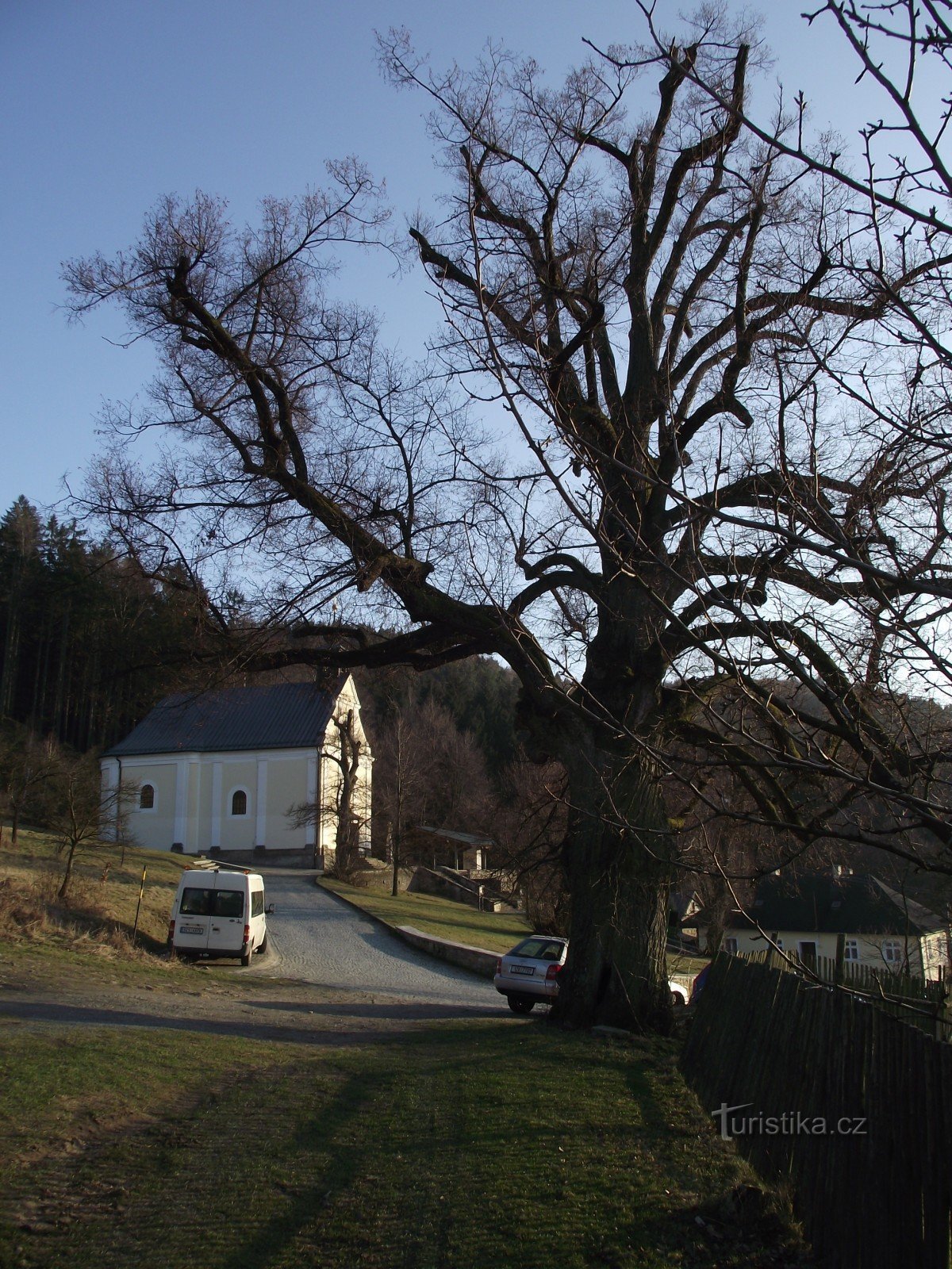 tiglio e chiesa di pellegrinaggio