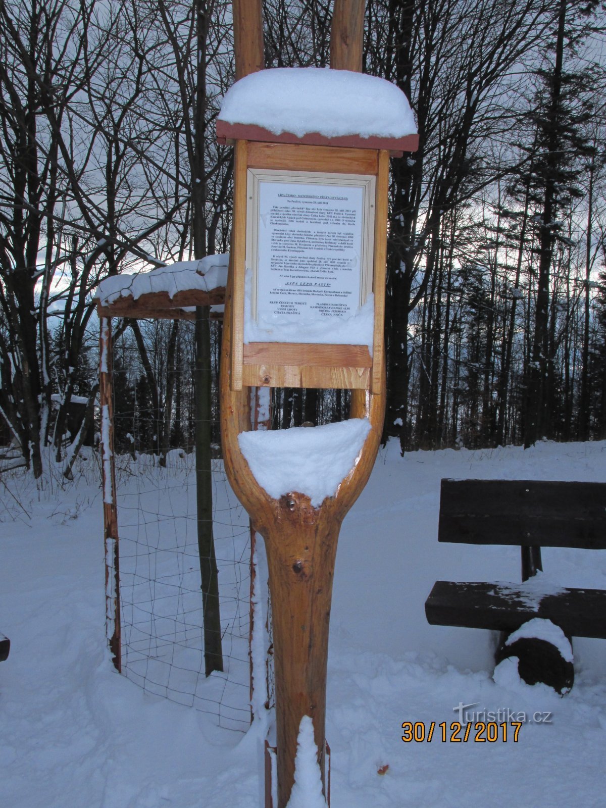 The tree of Czech-Slovenian friendship on Prašivé