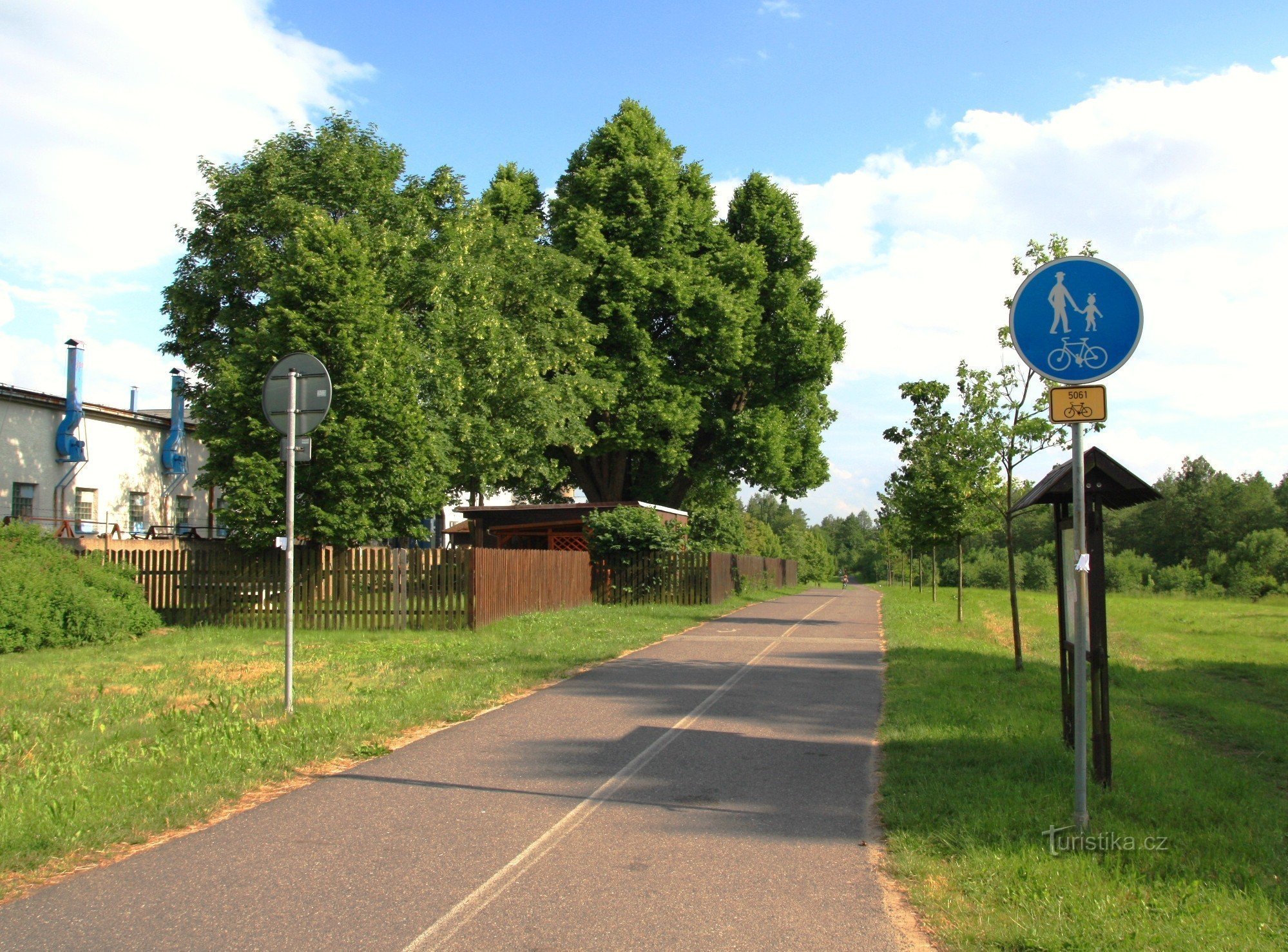 Linden from the bike path