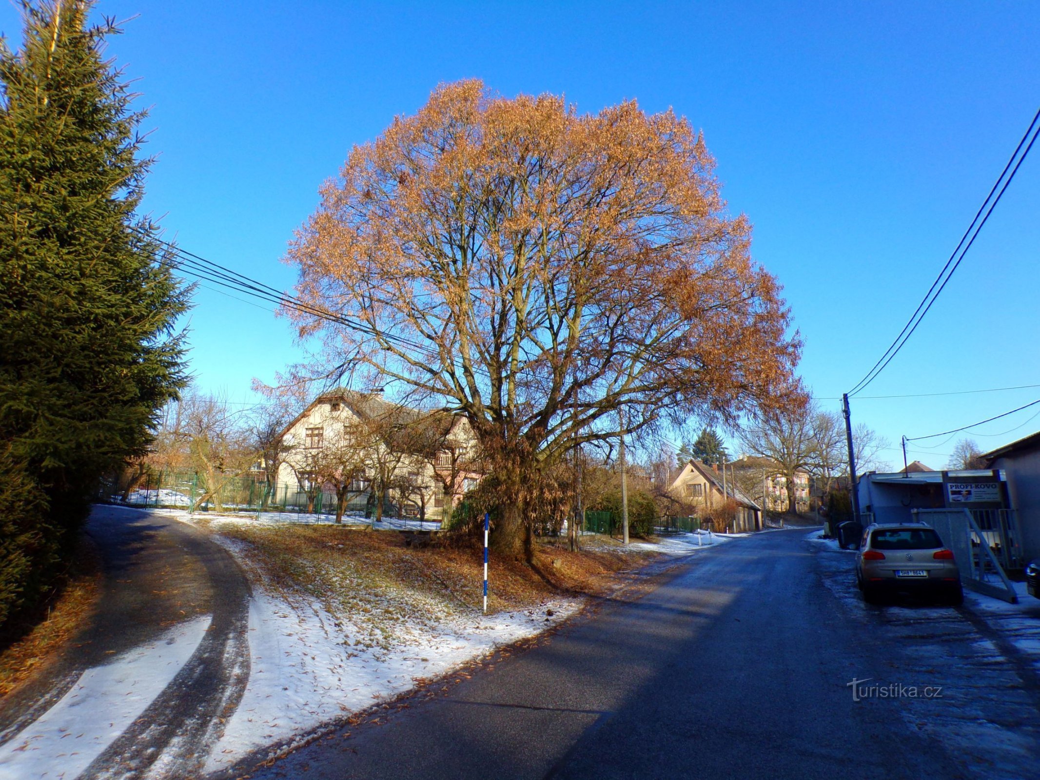 Chaux de la République (Mezilečí, 18.1.2022)