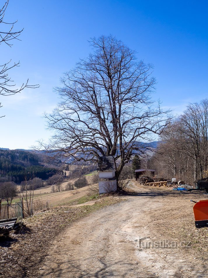 Lípa s kapličkou sv. Linharta