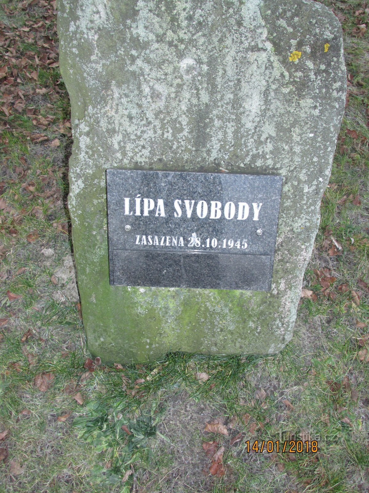 Lípa svobody