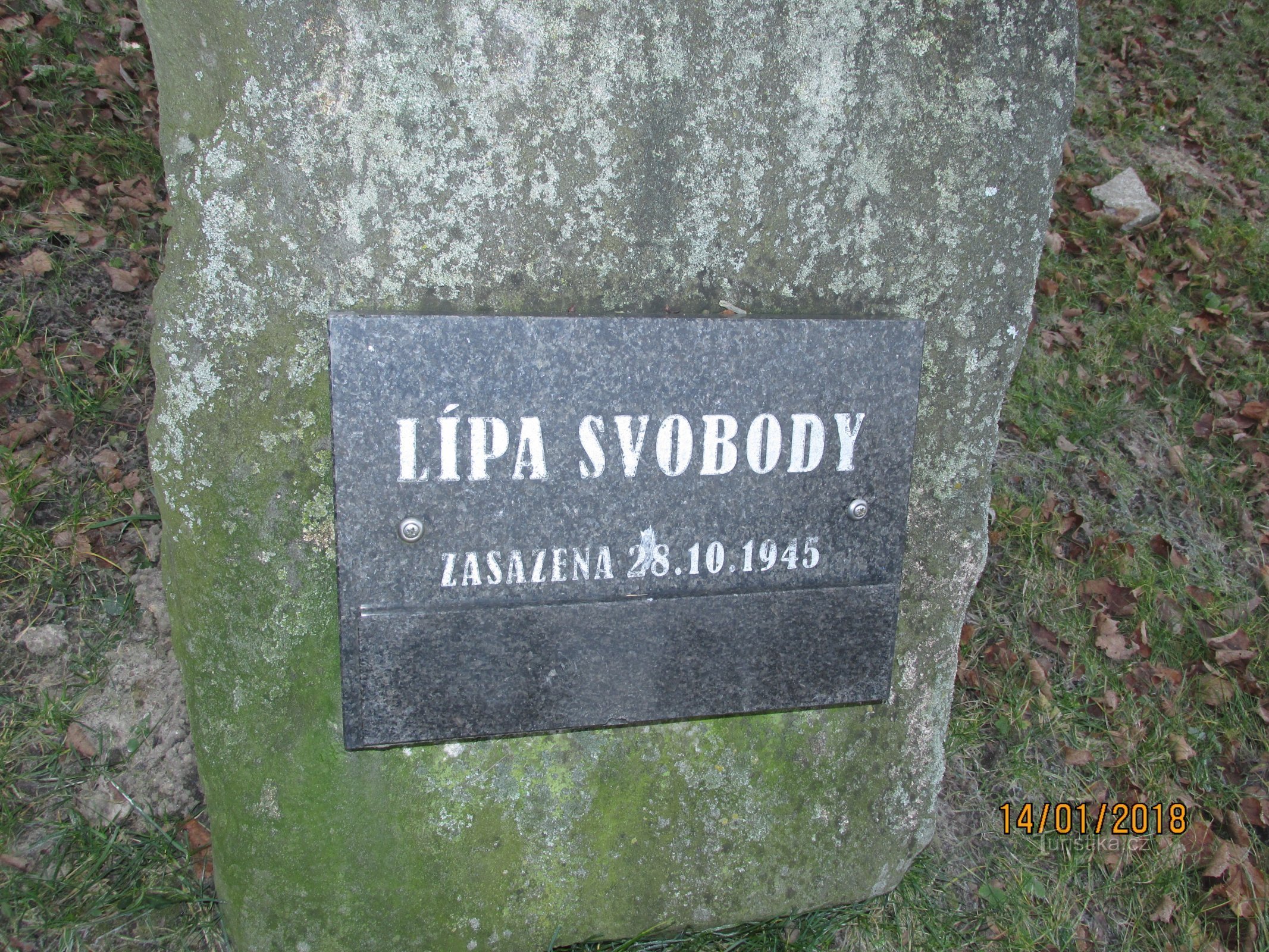 Lipa svobode