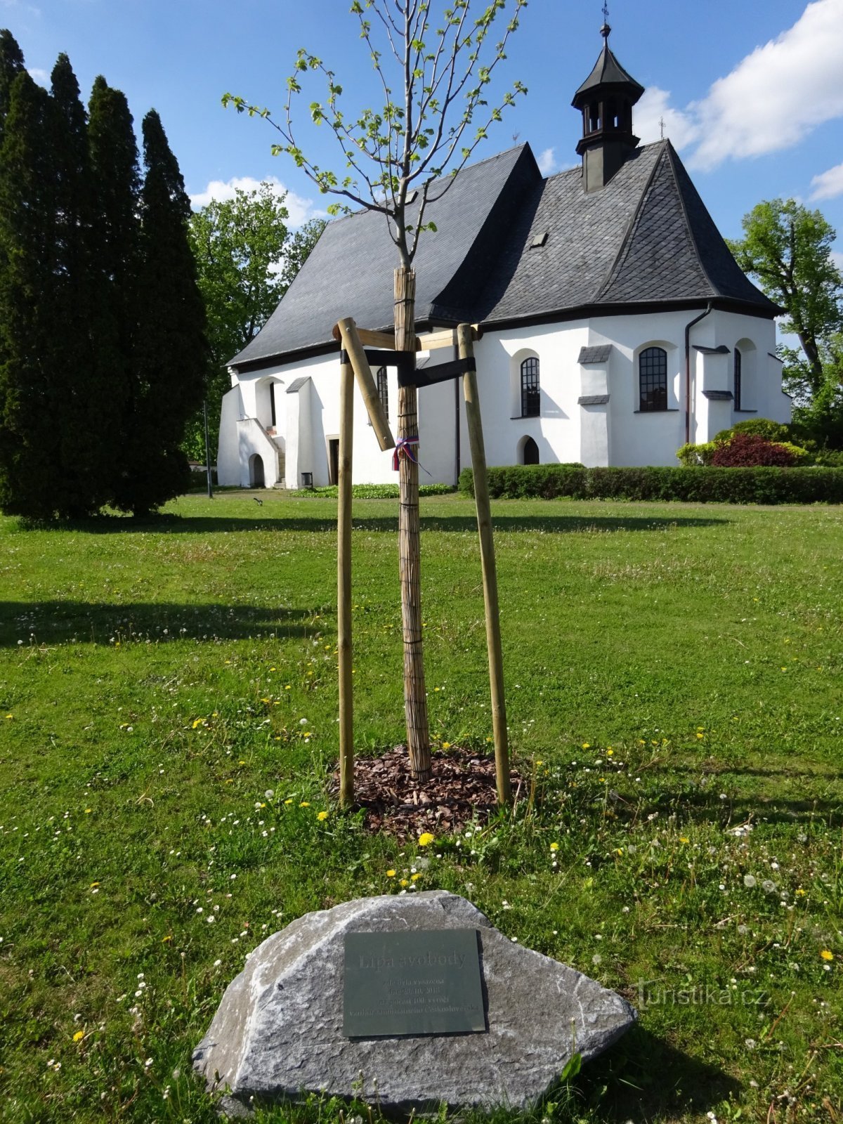 linden tree of freedom planted on 28.10.2018 October 100 in honor of the XNUMXth anniversary of the founding of the Republic