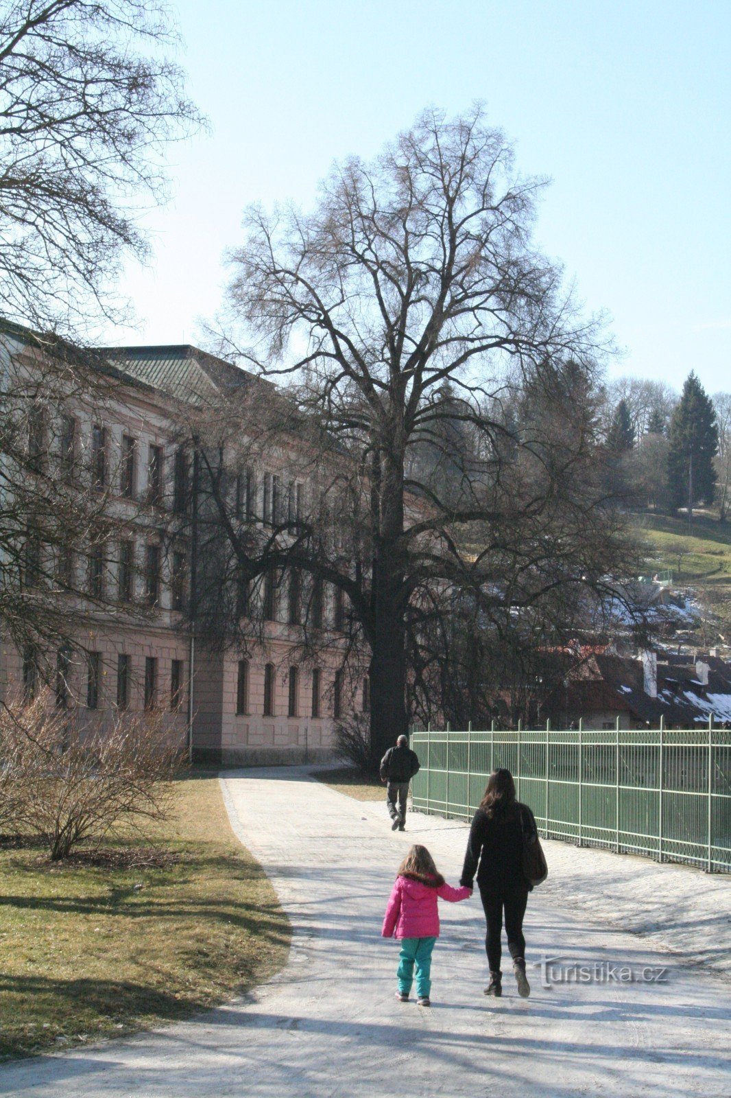 Linden tree no açude em Český Krumlov