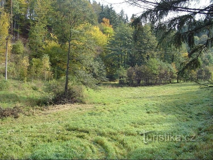 Lipenský potok: Valea Lipenský potok