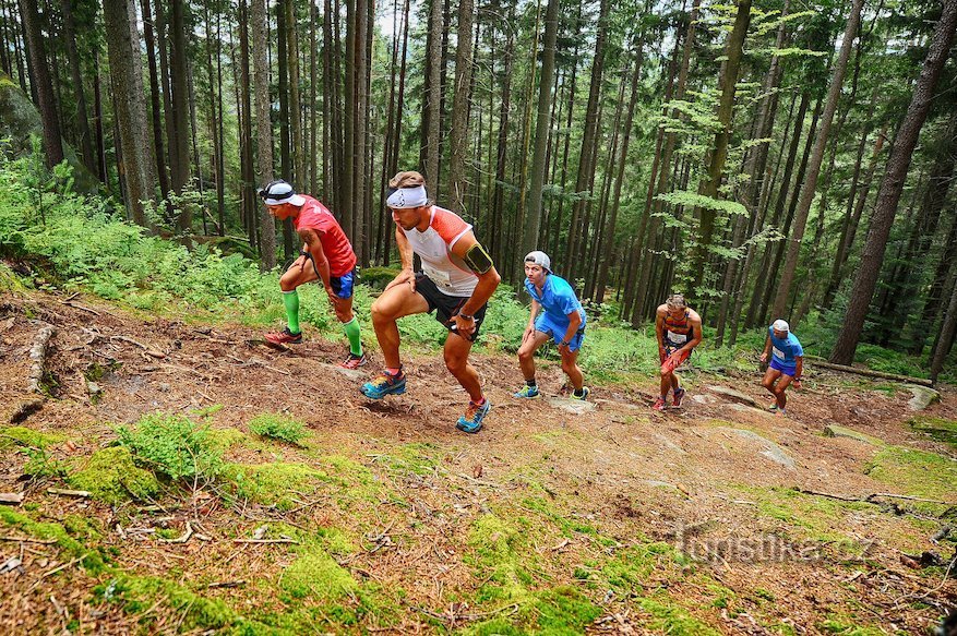 Lipno Halvmarathon blir bakgrunden till Blue Code