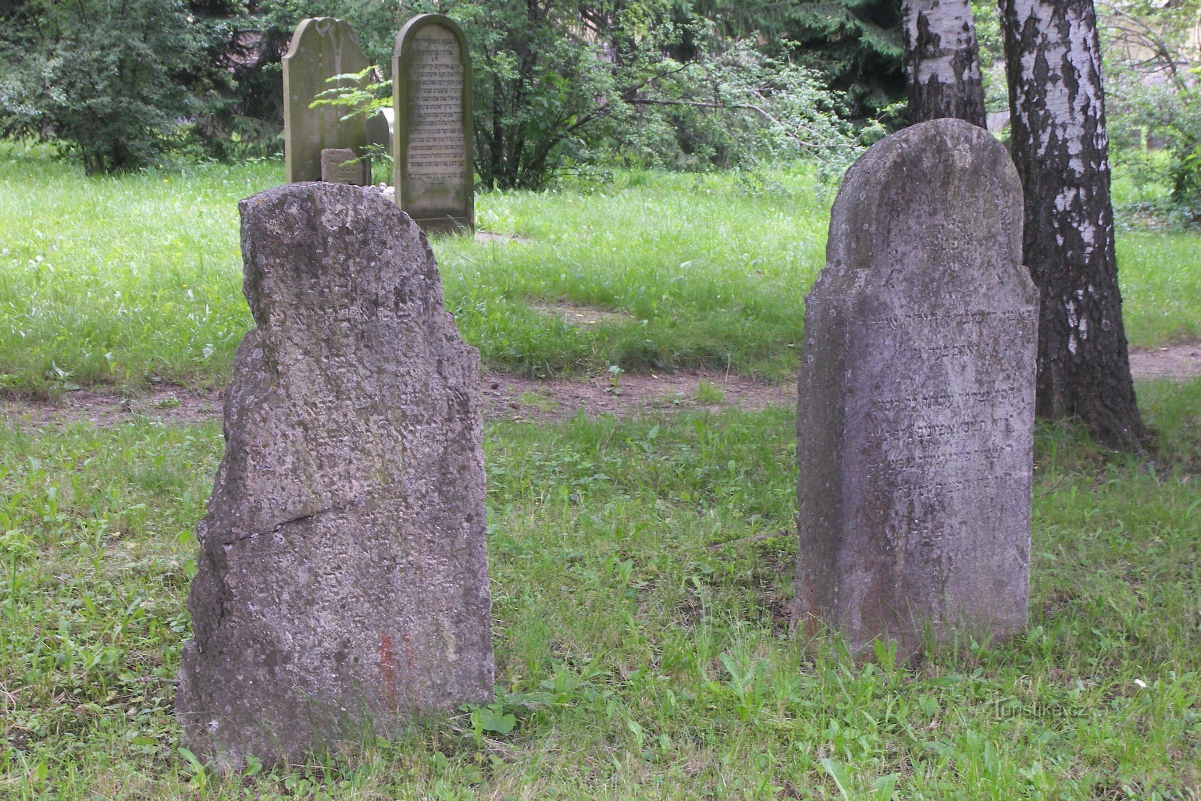 Lipník nad Bečvou - gammal judisk kyrkogård