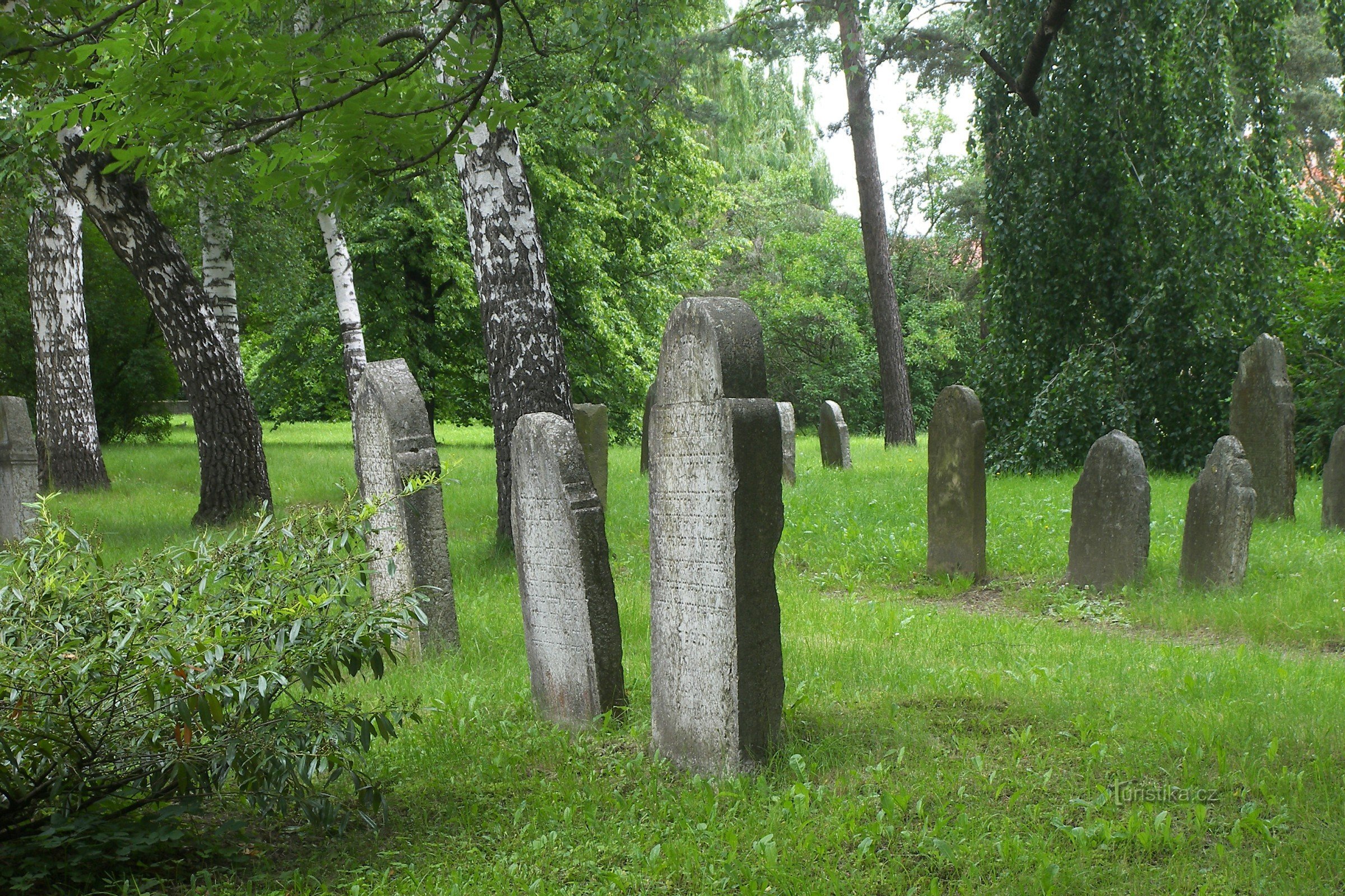 Lipník nad Bečvou - gammal judisk kyrkogård