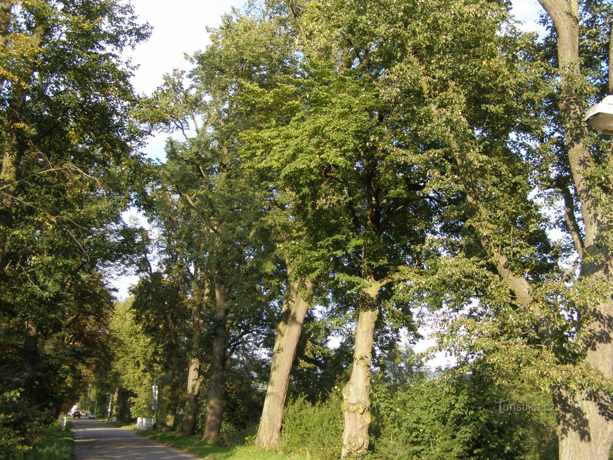 Allée de chaux près de Sedmihorek