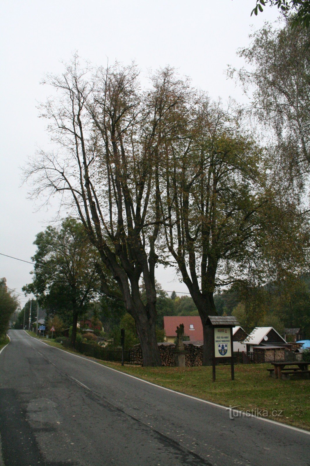 Lindebomen in de buurt van St. Jan Nepomuck