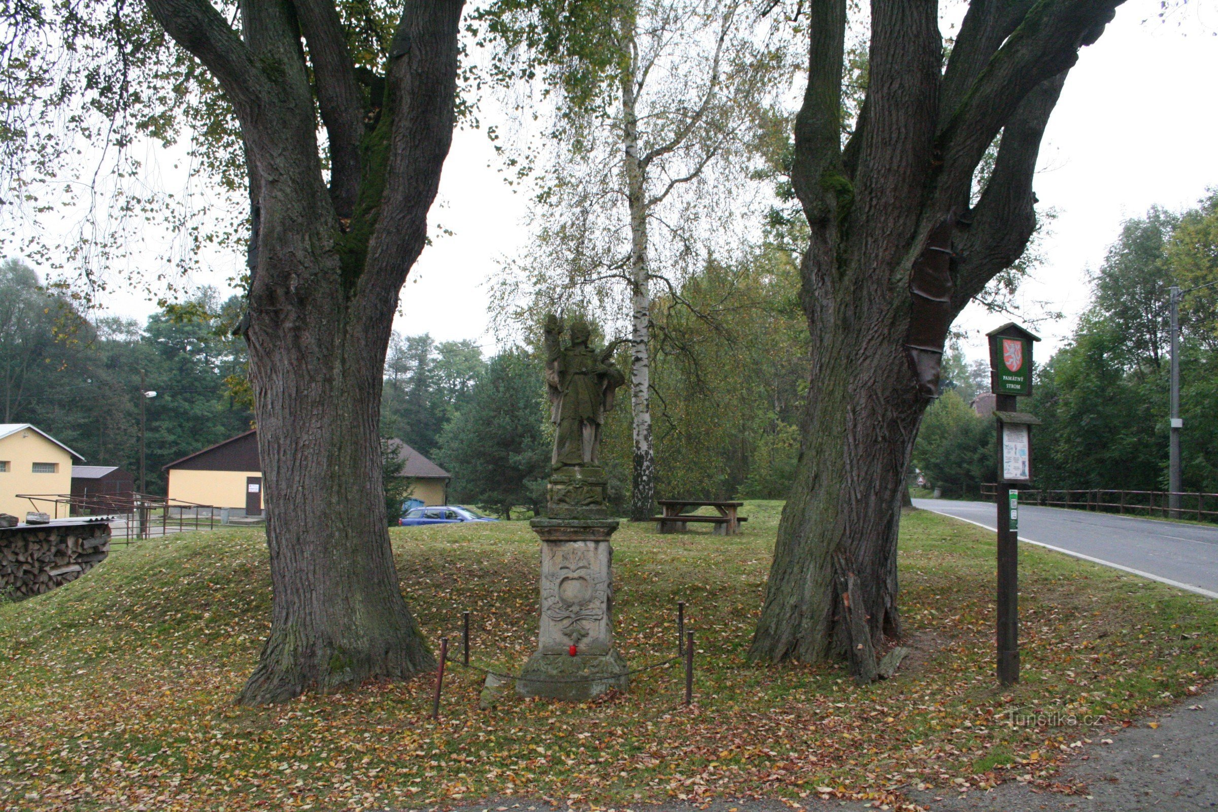 Lindebomen in de buurt van St. Jan Nepomuck