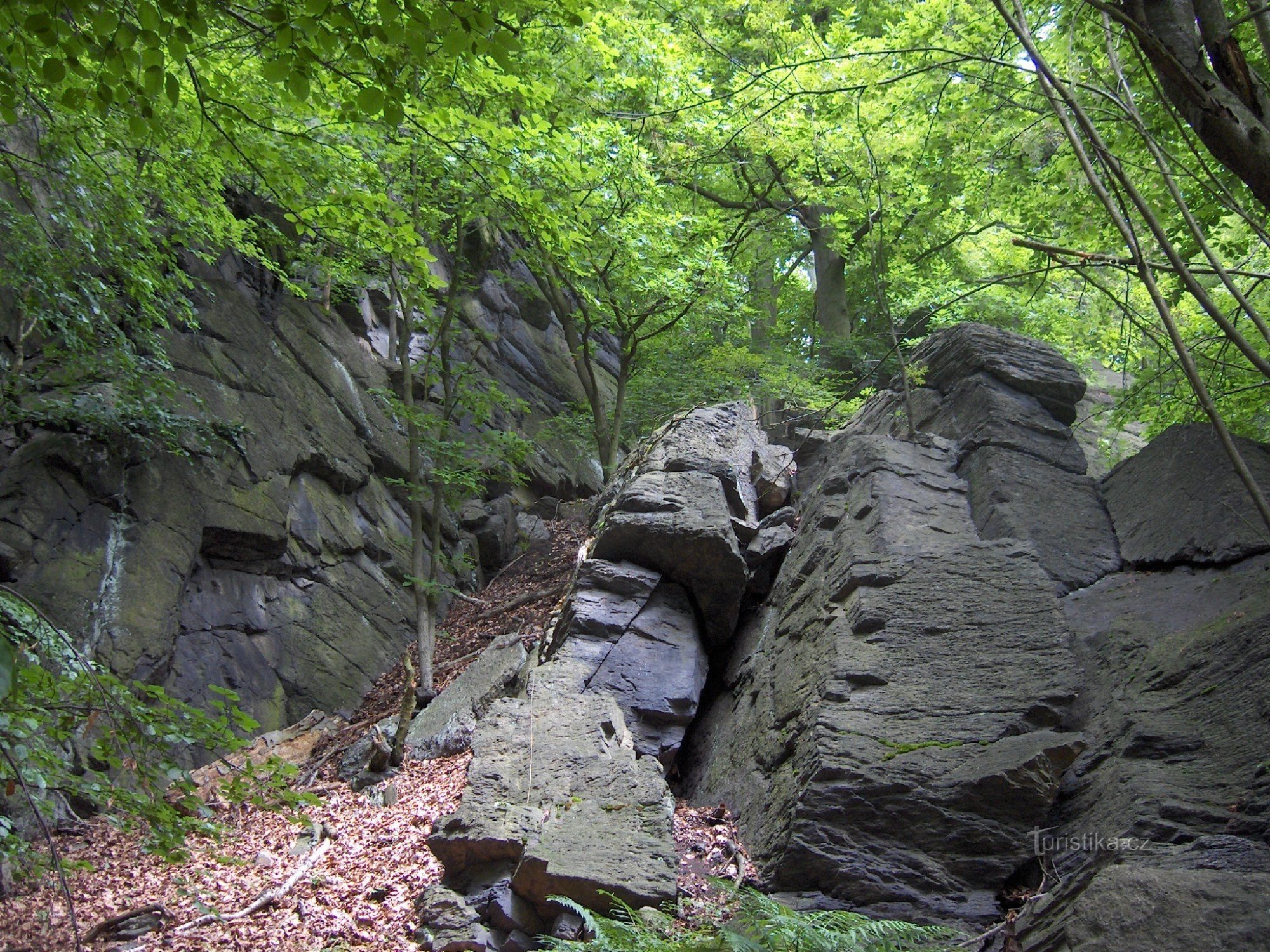 rocas de zorro