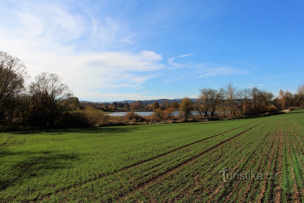 Litovec, vue sur l'étang depuis le versant de Stráná