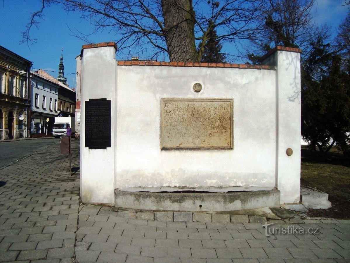 Litovel-Placă suedeză-Foto: Ulrych Mir.