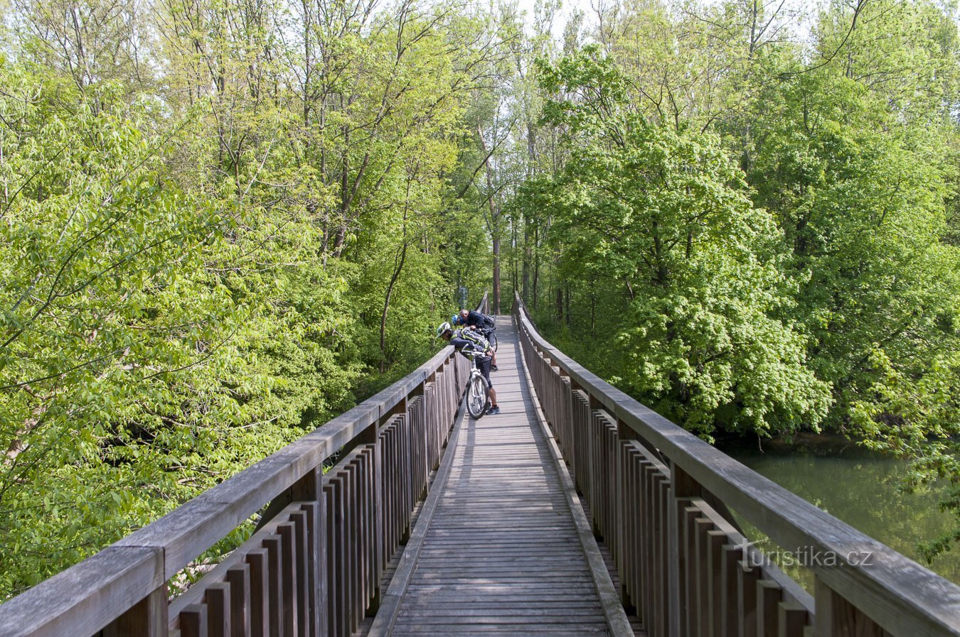 Passerelle Litovelské Poméranie – Vietnam, 252,5 km