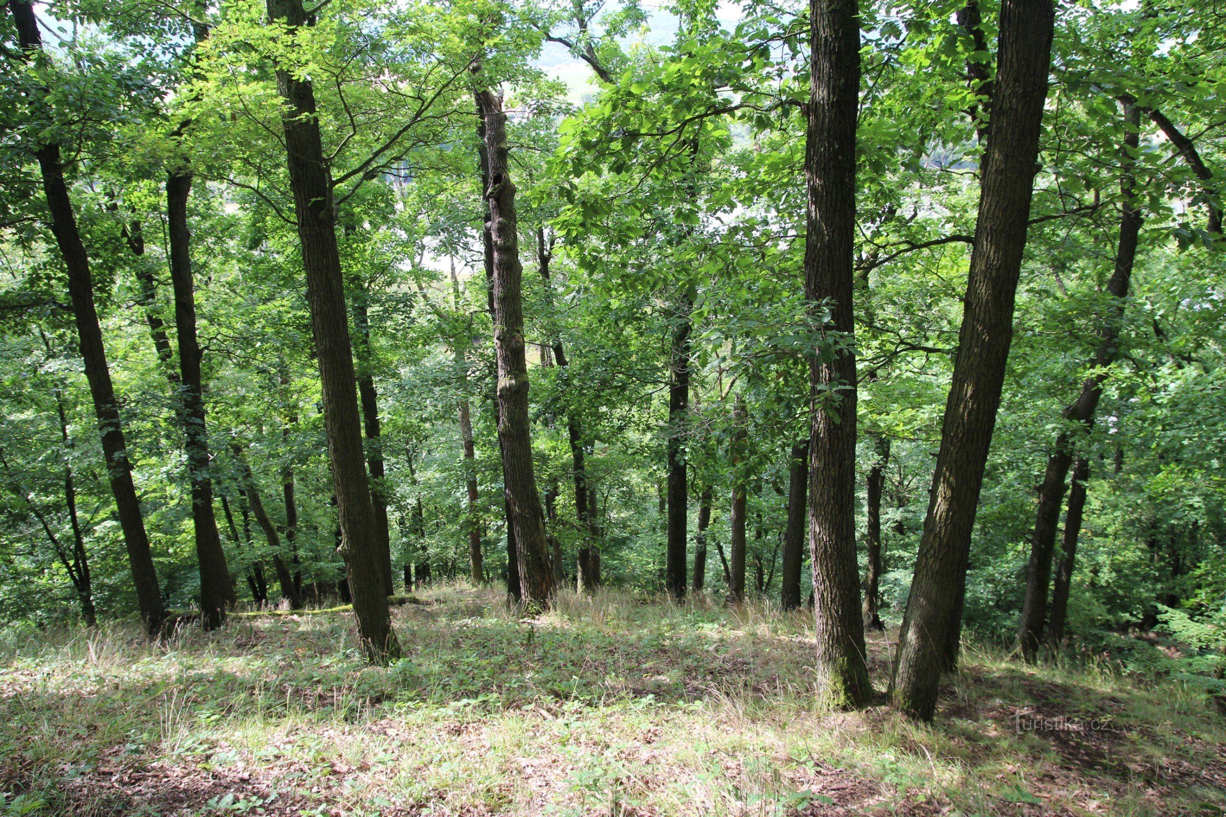 Lage Břenčák von der touristischen Route